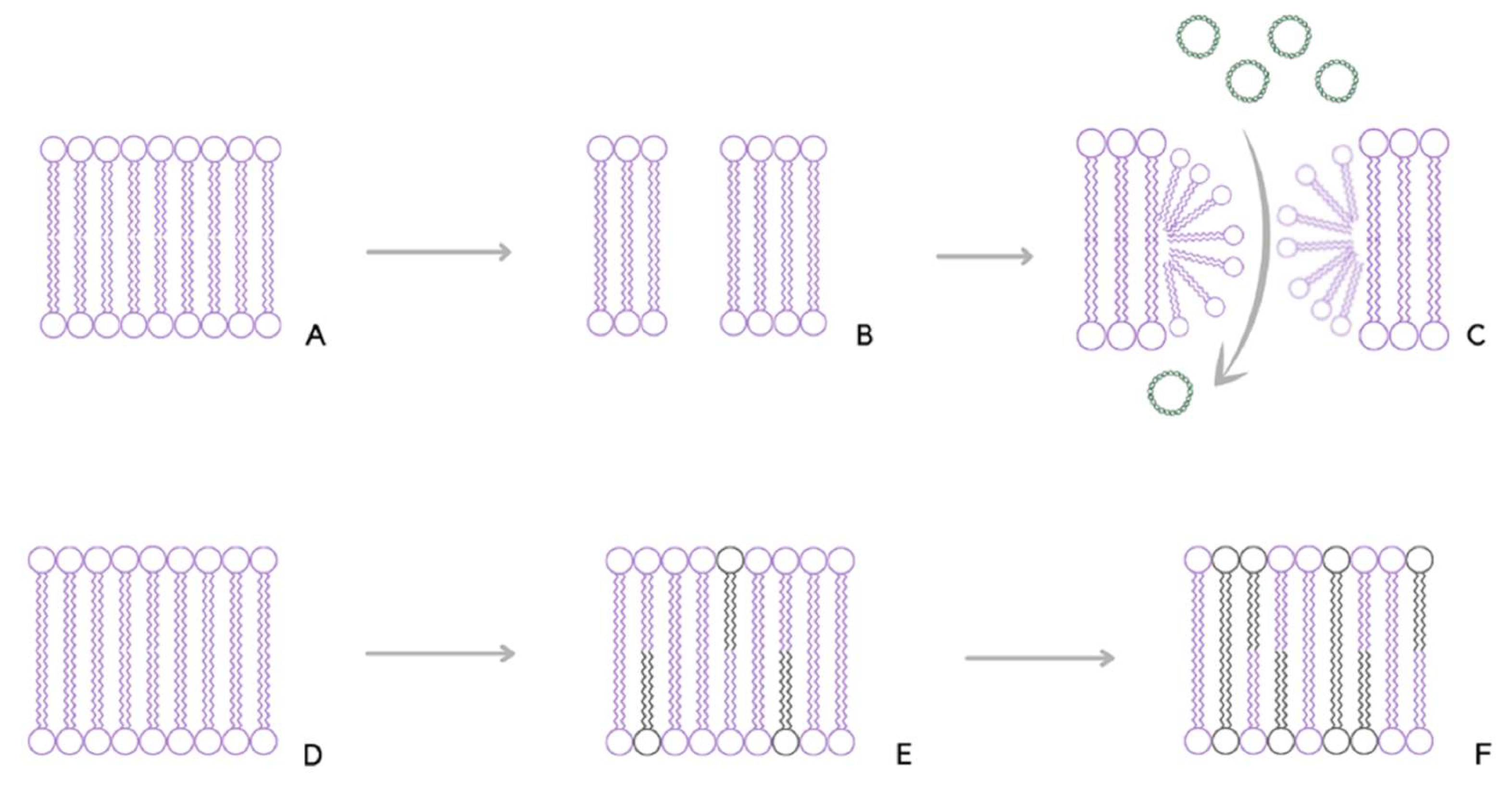 Applsci 12 10821 g001