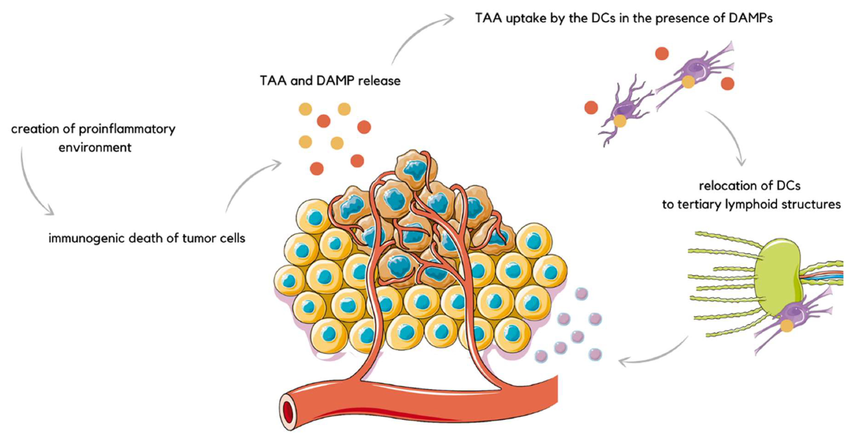 Applsci 12 10821 g004