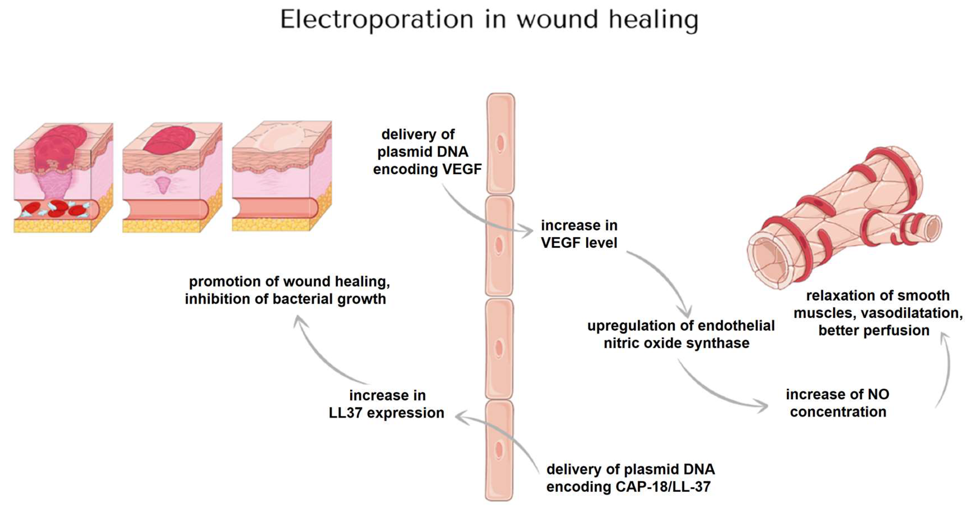 Applsci 12 10821 g005