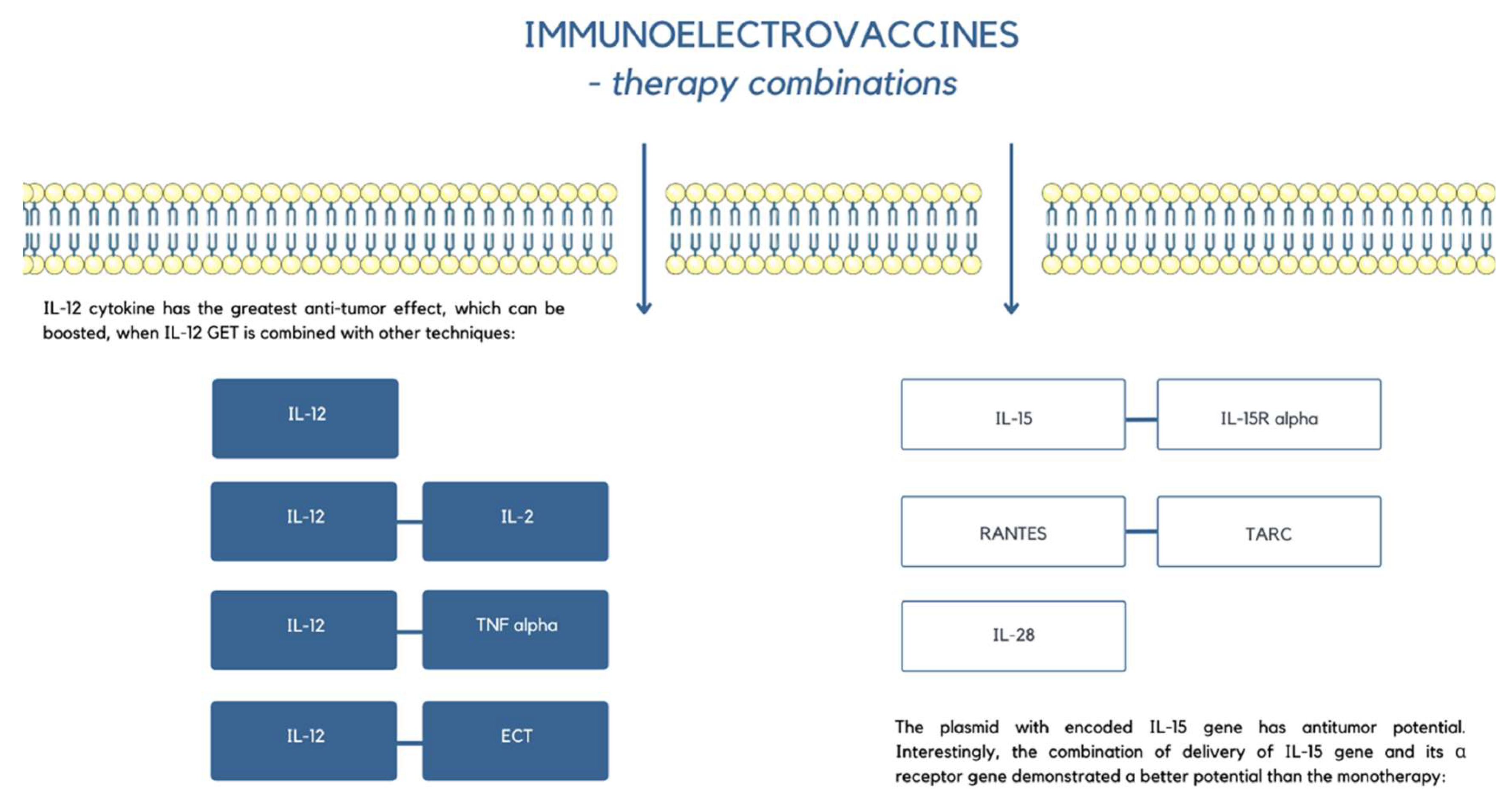 Applsci 12 10821 g006