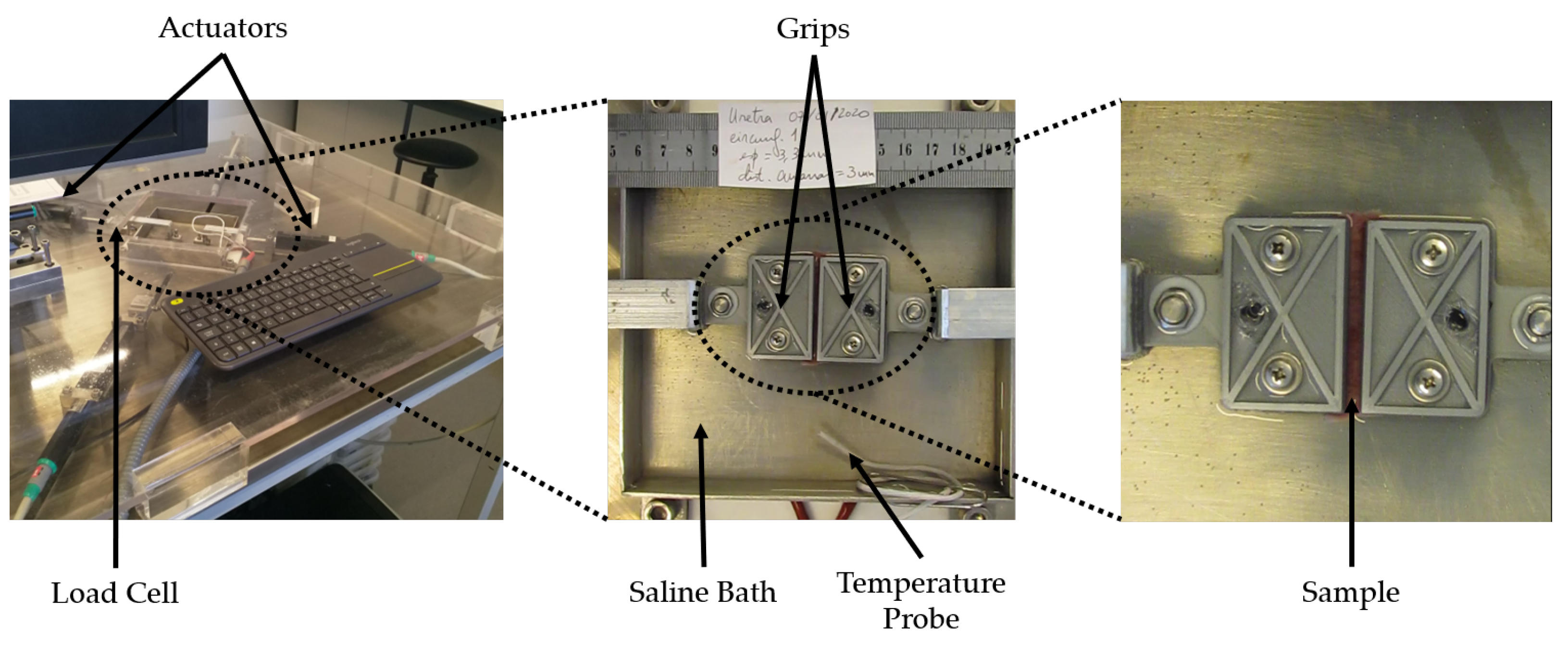 Applsci 12 10842 g002