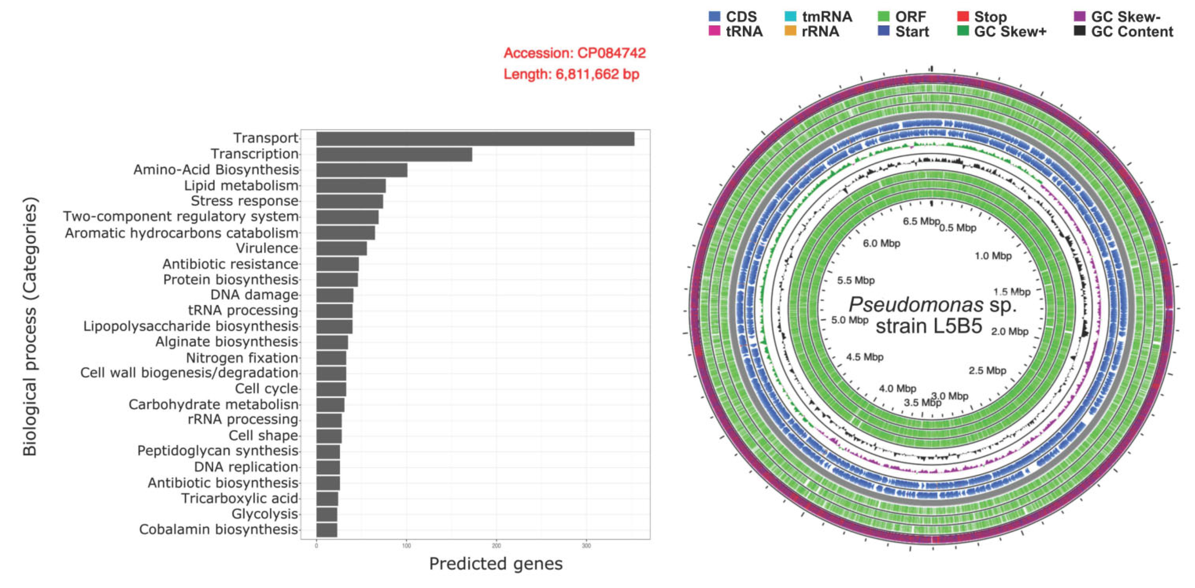 Applsci 12 10854 g005