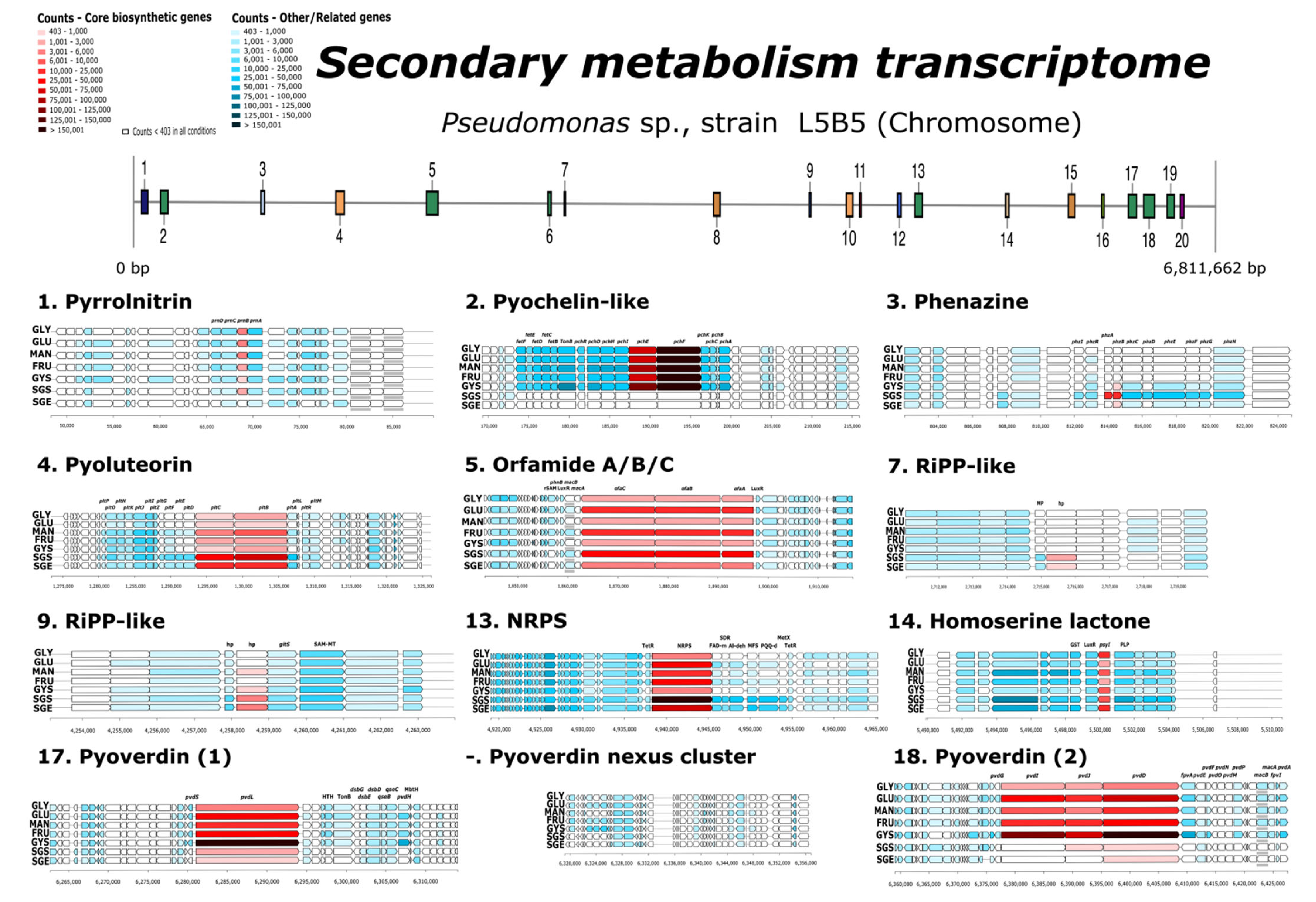 Applsci 12 10854 g008