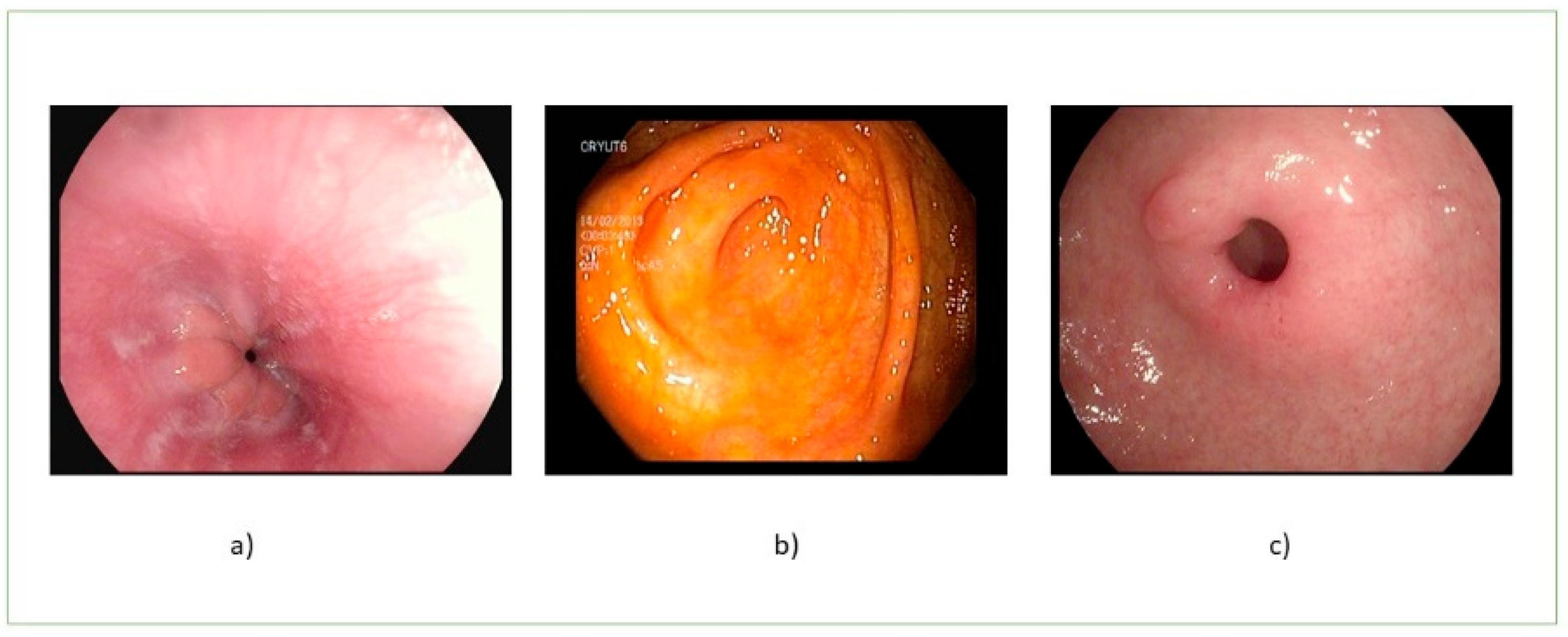 Applsci 12 10856 g001 Applsci 12 10856 g001