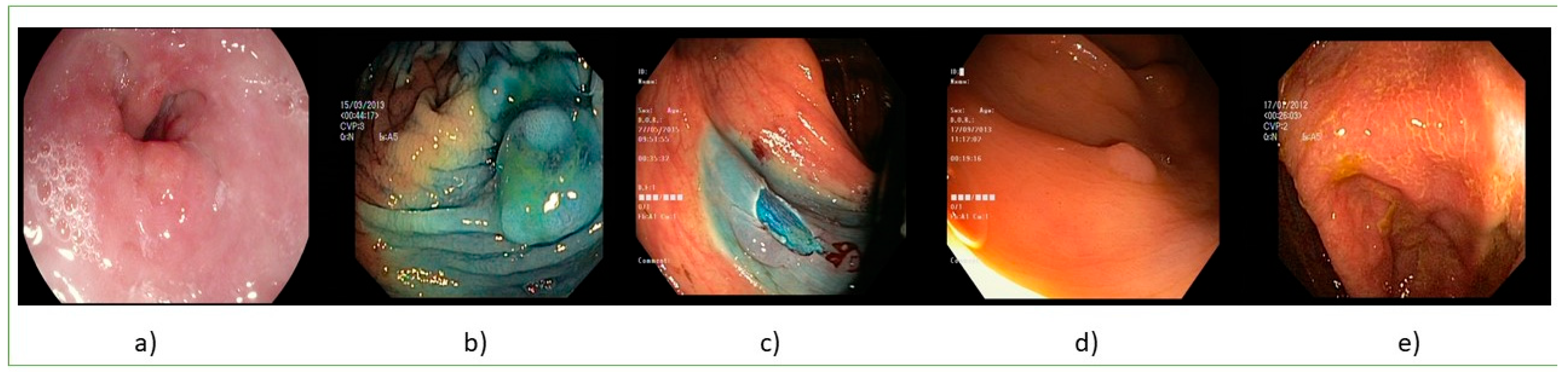 Applsci 12 10856 g002 Applsci 12 10856 g002