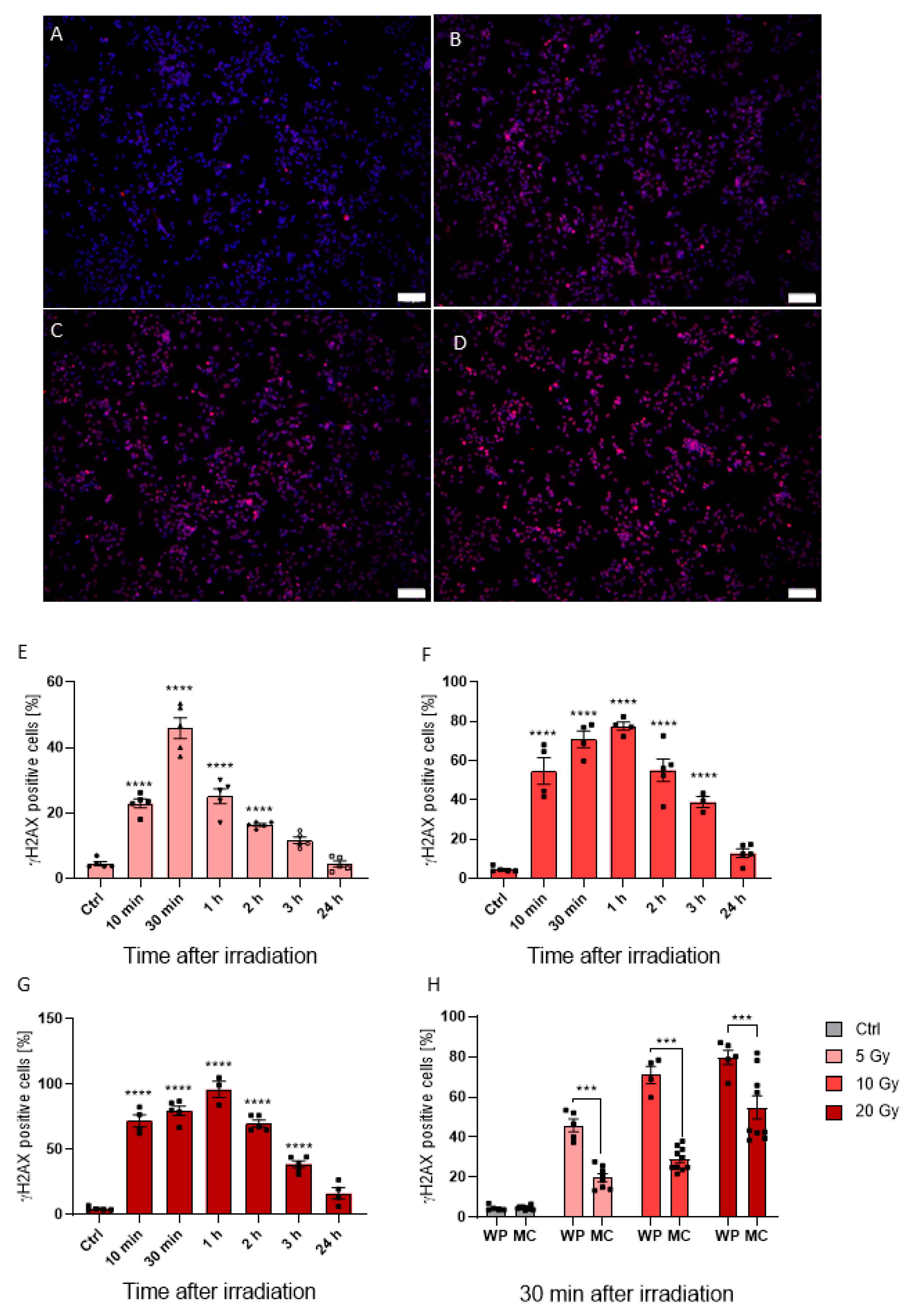 Applsci 12 10867 g003