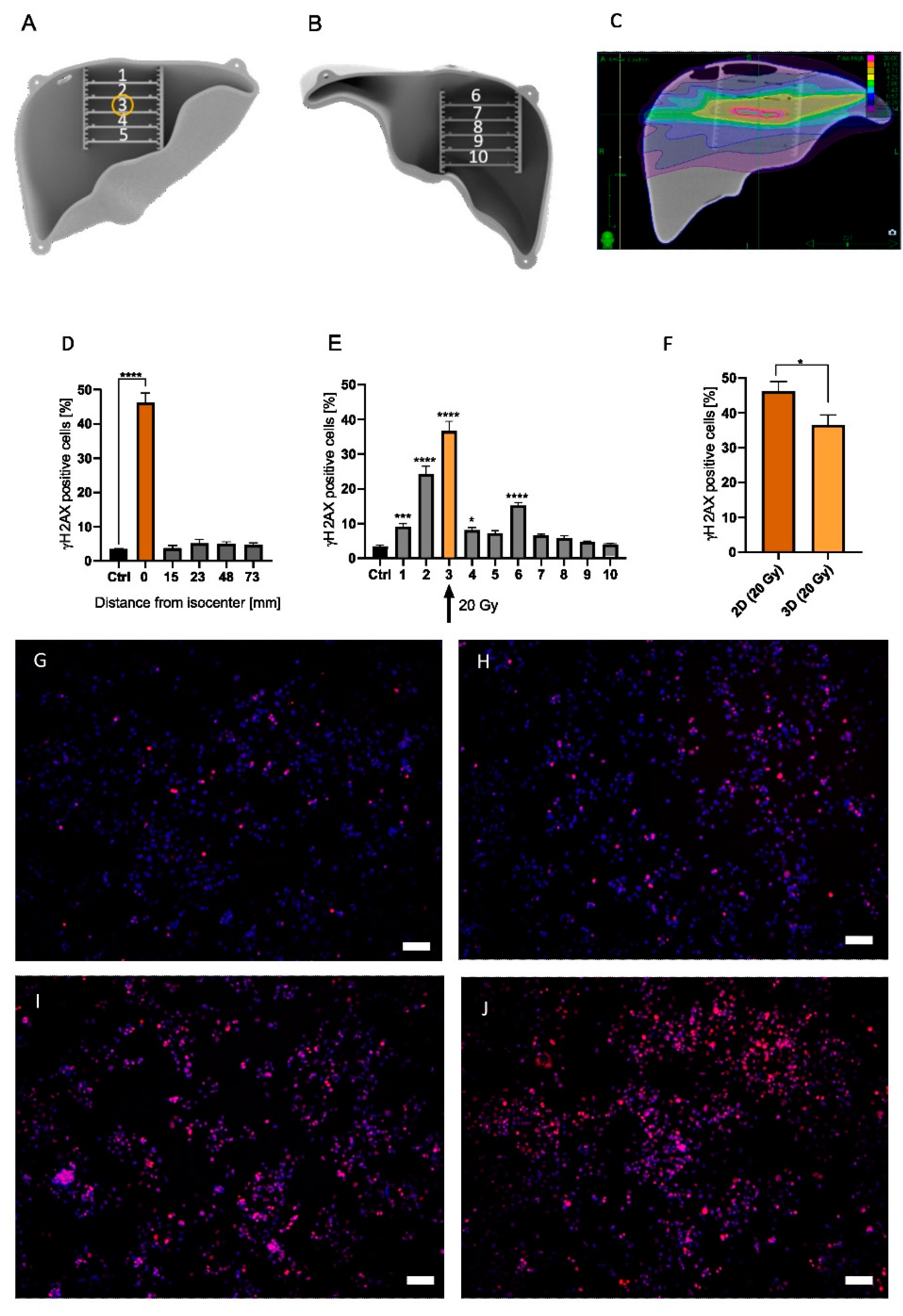 Applsci 12 10867 g004