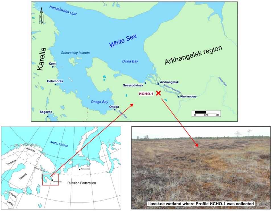 Applsci 12 10870 g001