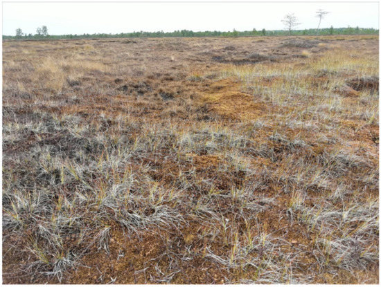 Applsci 12 10870 g0a2