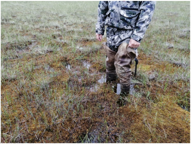 Applsci 12 10870 g0a3