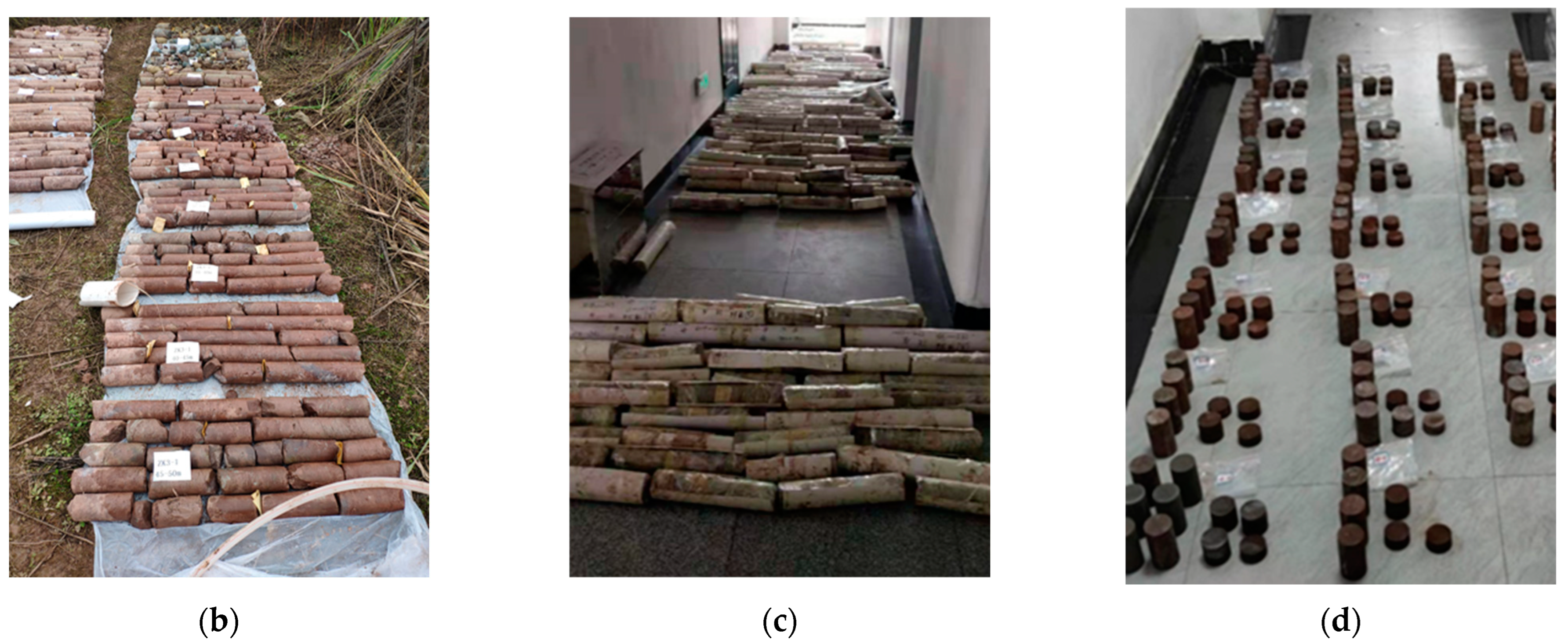 Applsci 12 10873 g002b