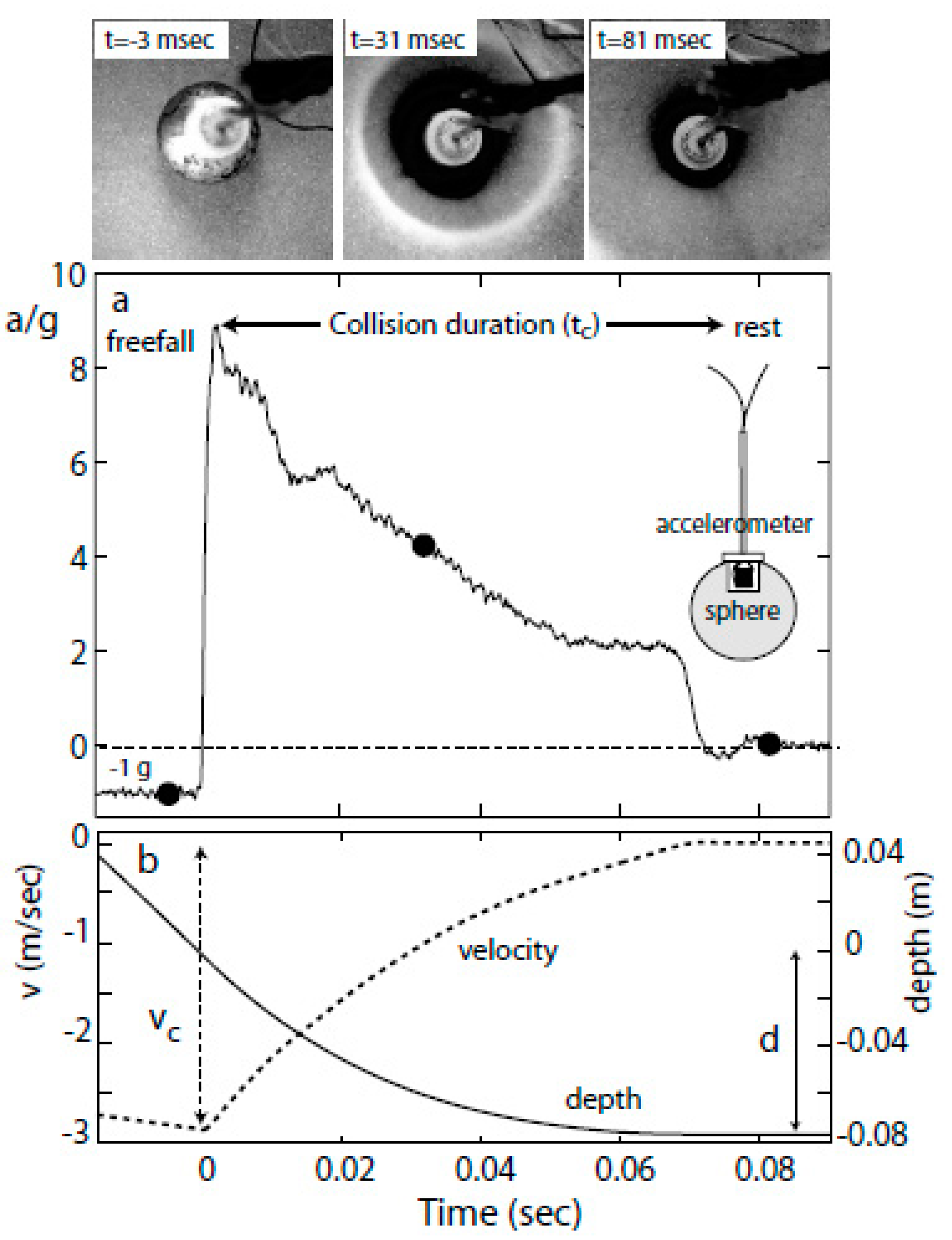 Applsci 12 10885 g001