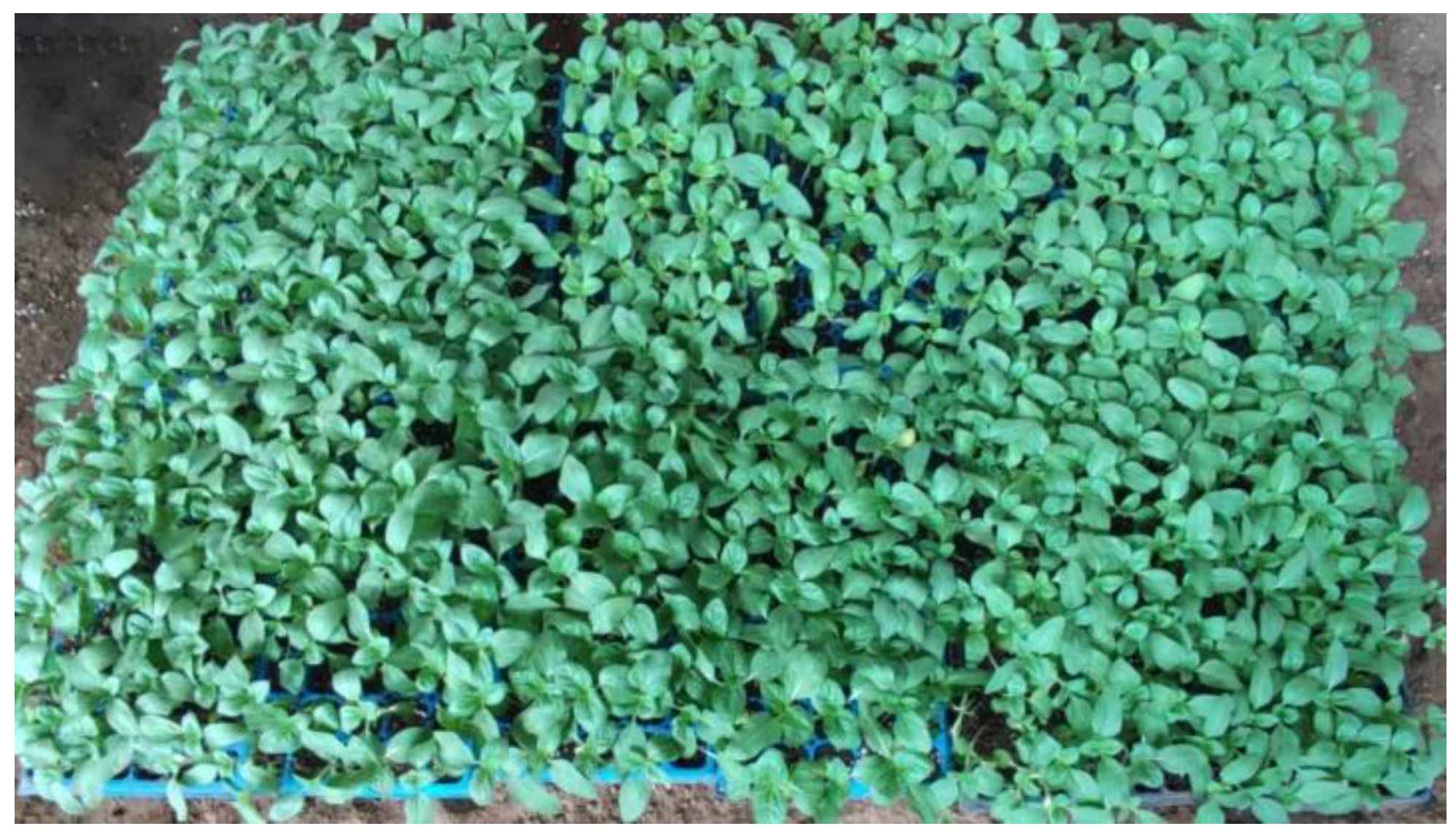 Applsci 12 10889 g001