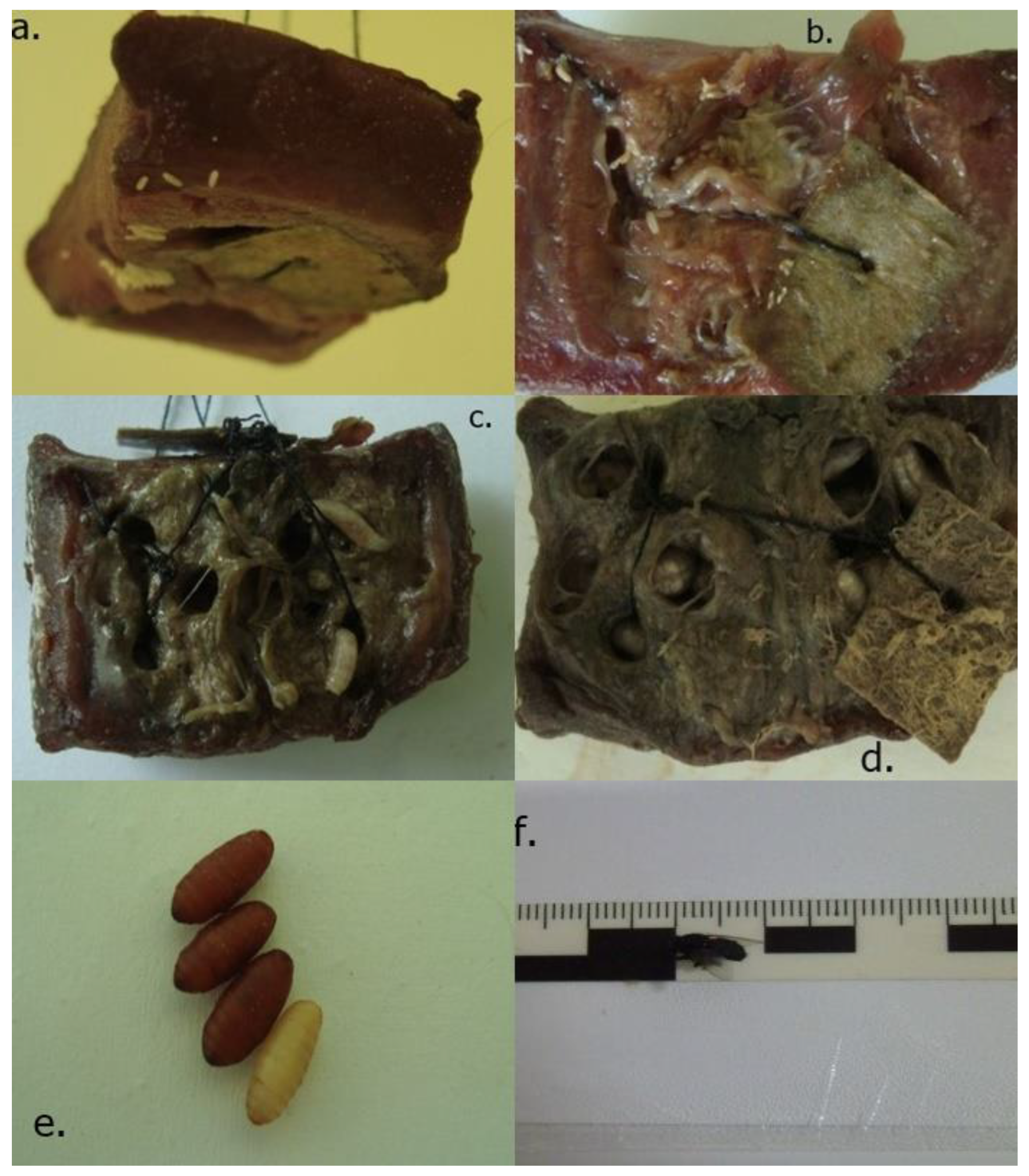 Applsci 12 10907 g002