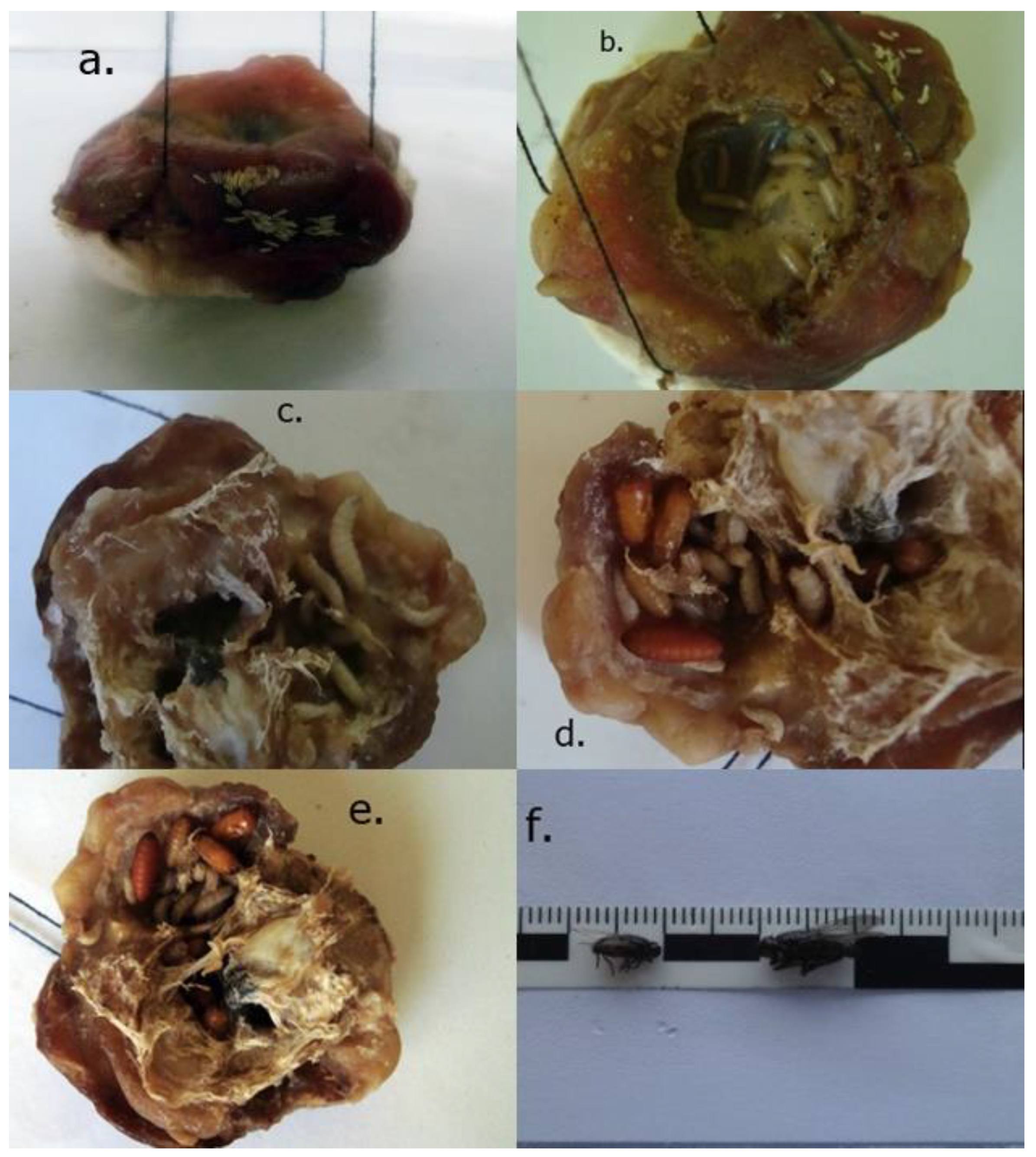 Applsci 12 10907 g003