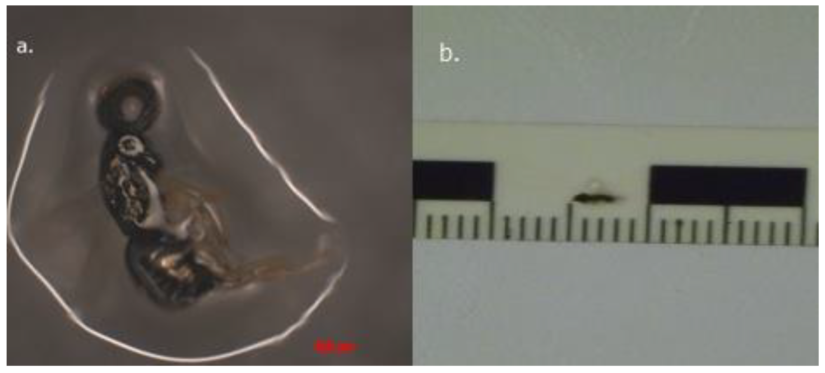 Applsci 12 10907 g005