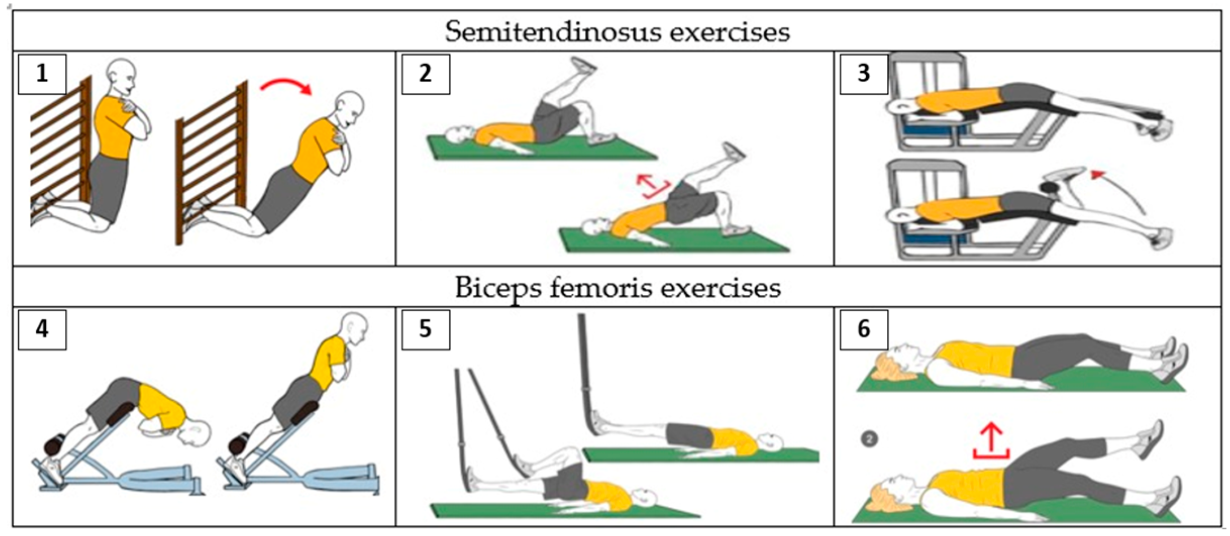 Applsci 12 10908 g001