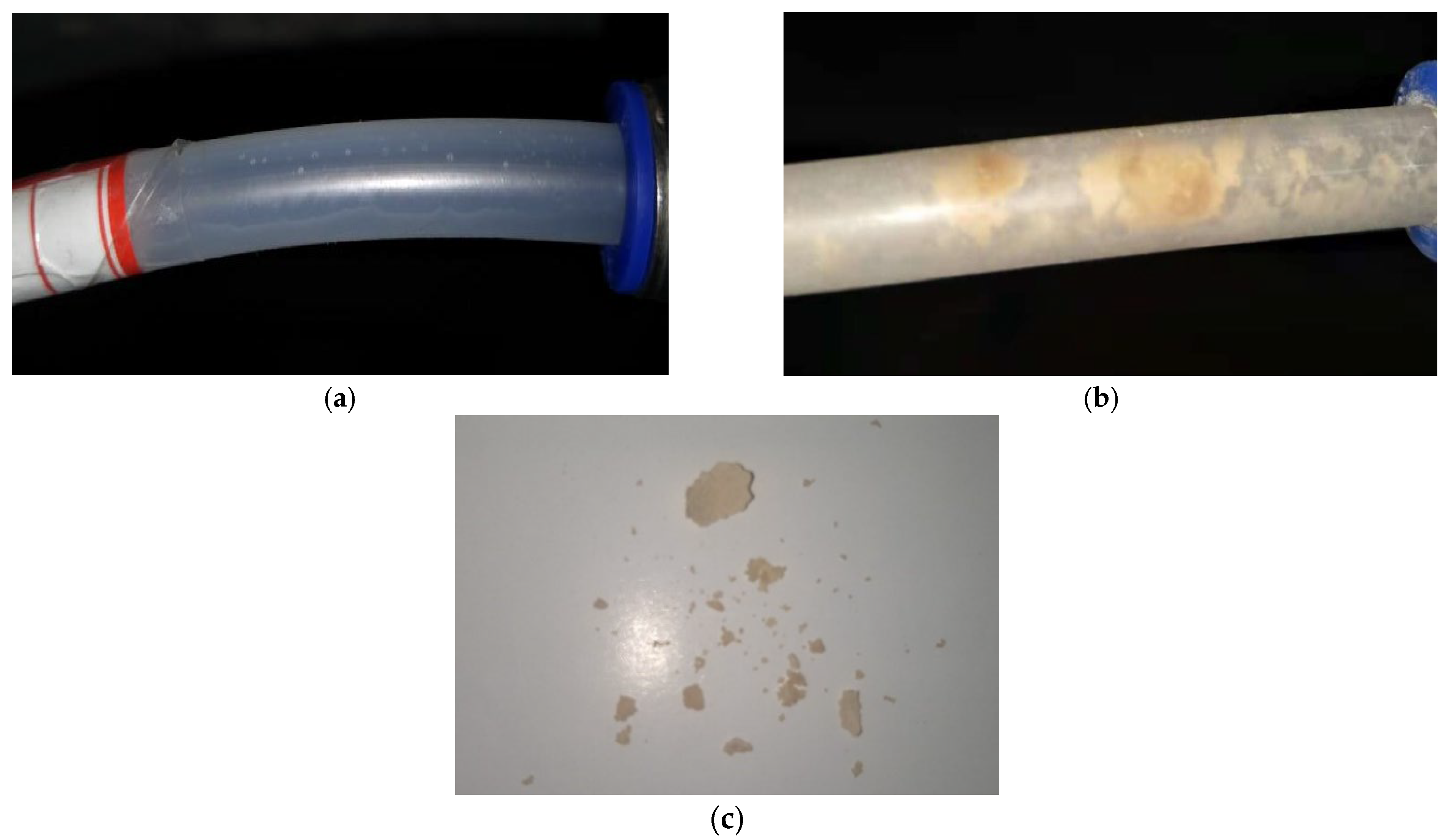 Applsci 12 10928 g006