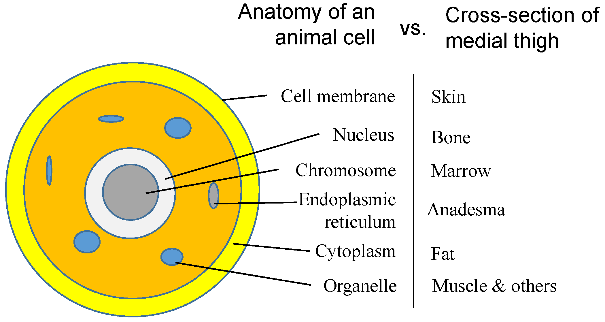Applsci 12 10930 g006
