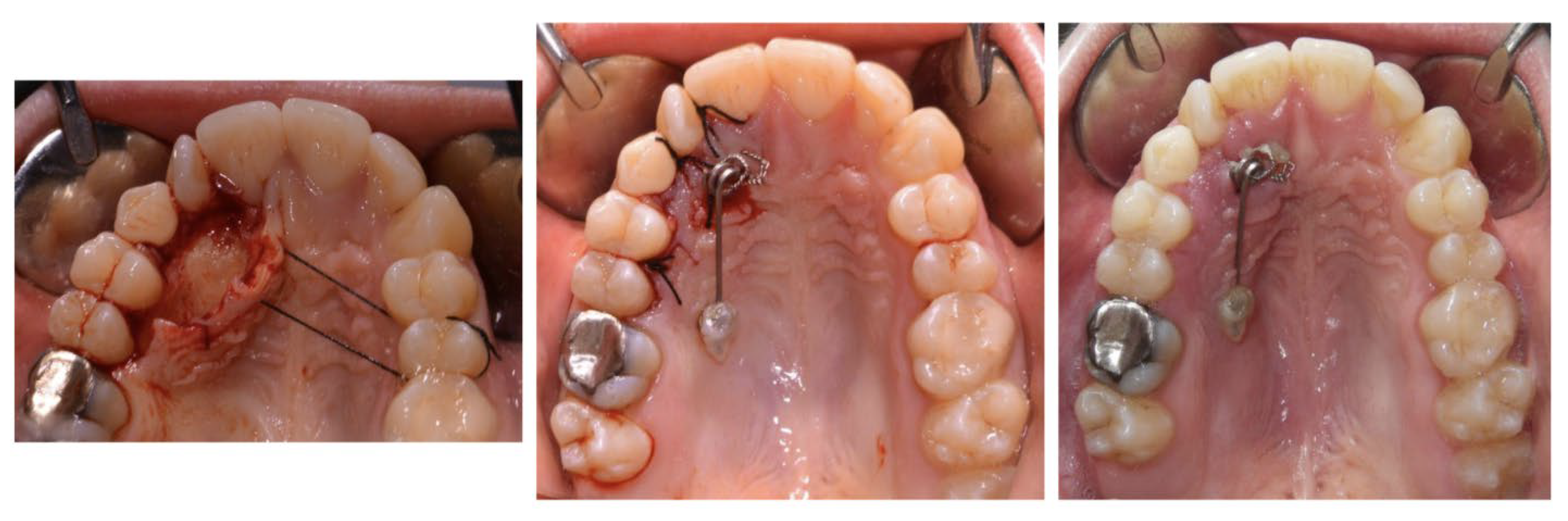 Applsci 12 10935 g002