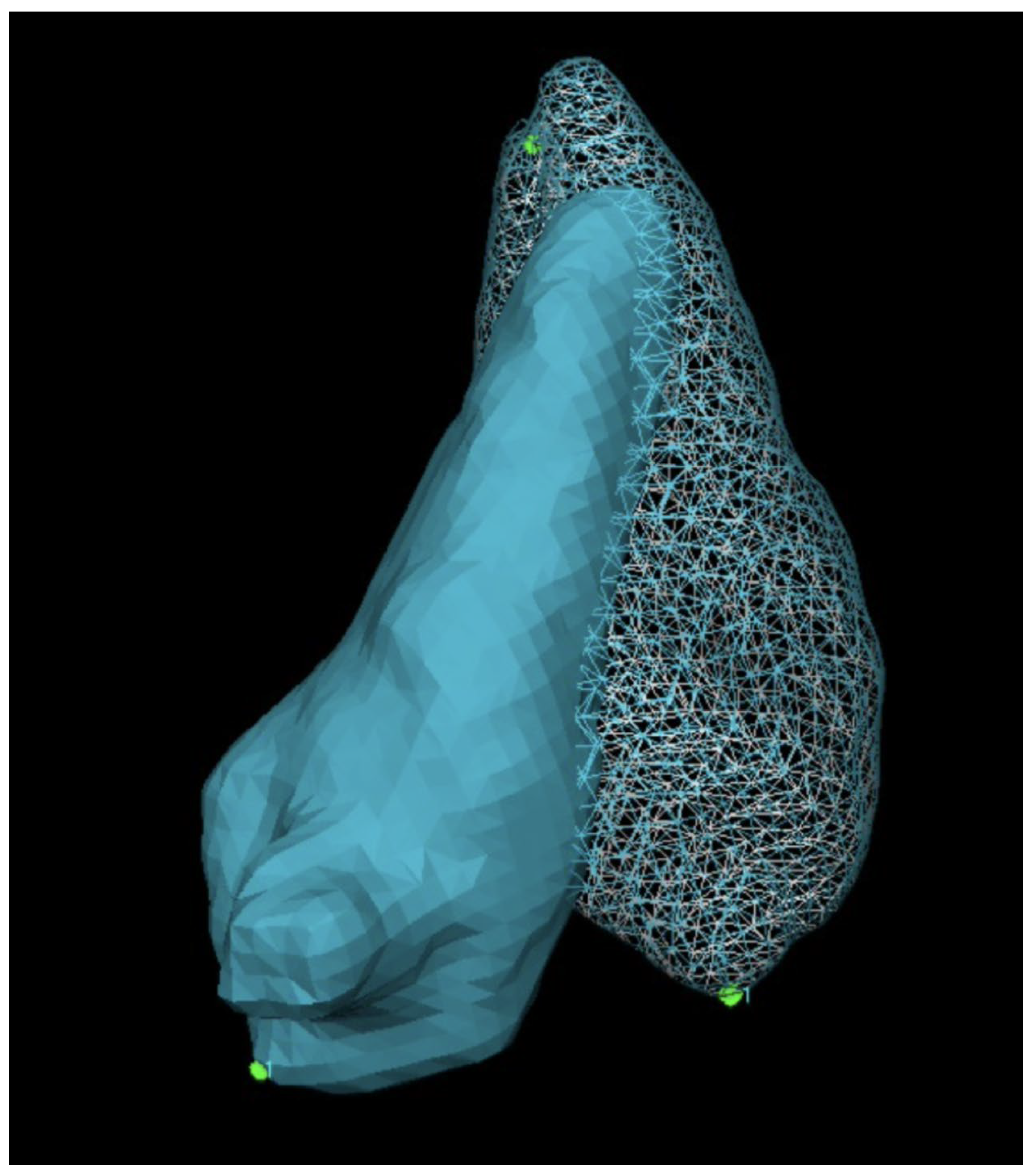 Applsci 12 10935 g003