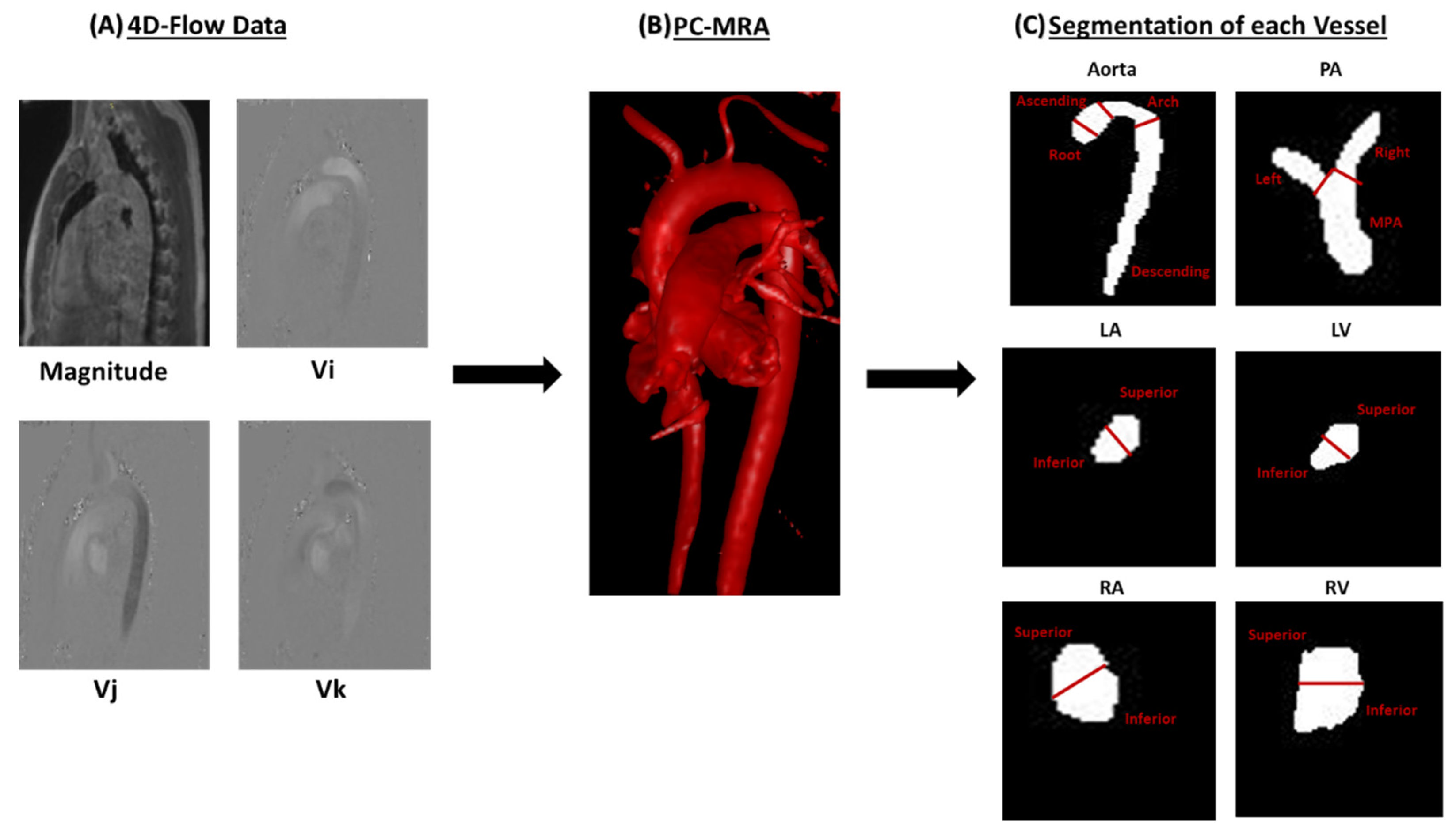 Applsci 12 10946 g001 Applsci 12 10946 g001