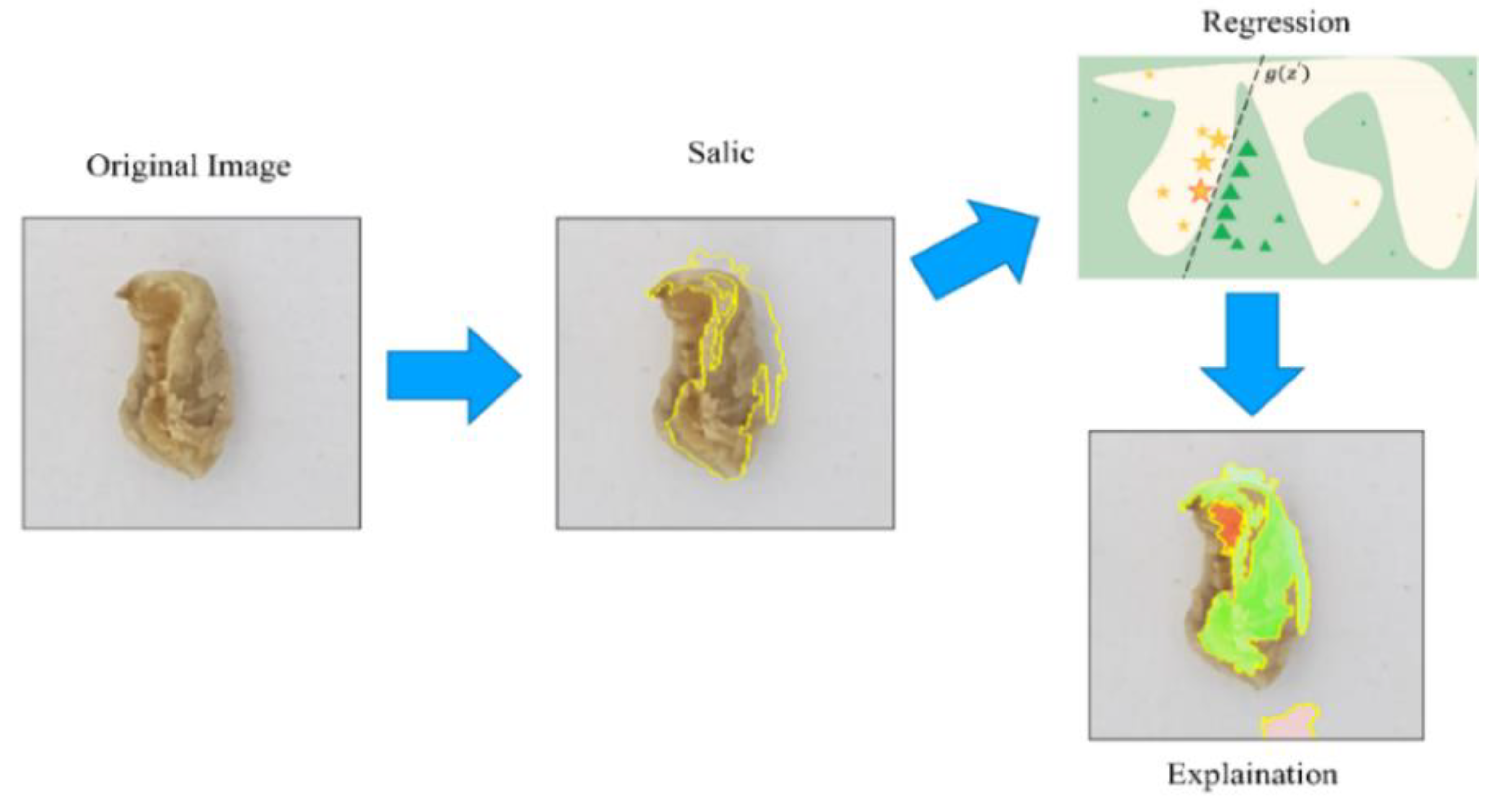 Applsci 12 10966 g008 Applsci 12 10966 g008