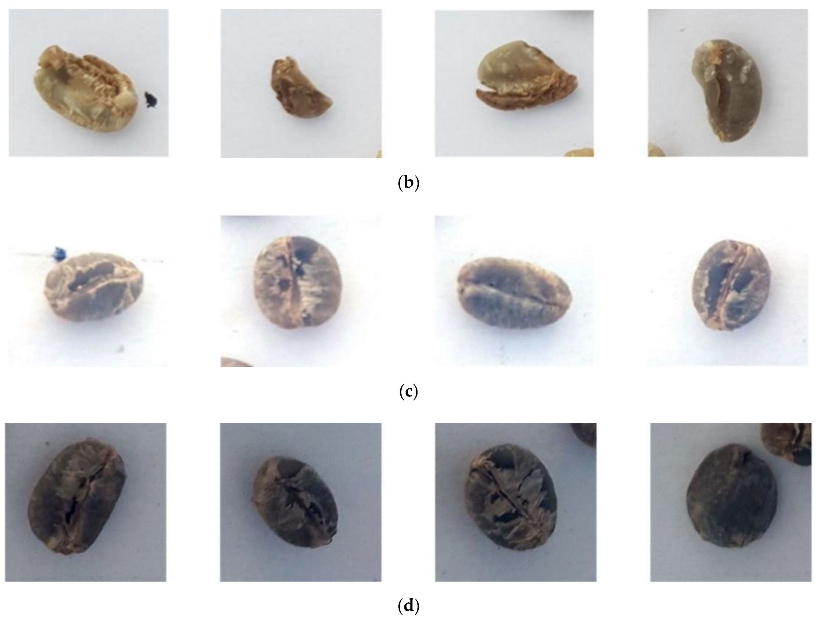 Applsci 12 10966 g013b Applsci 12 10966 g013b