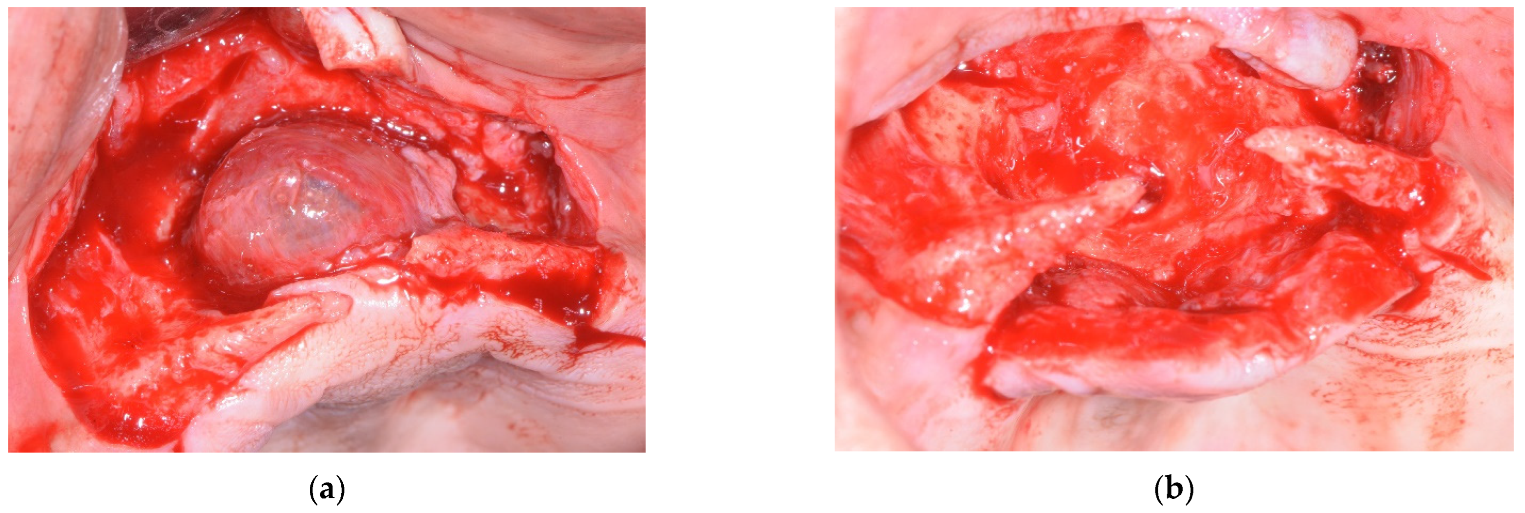 Applsci 12 11002 g003