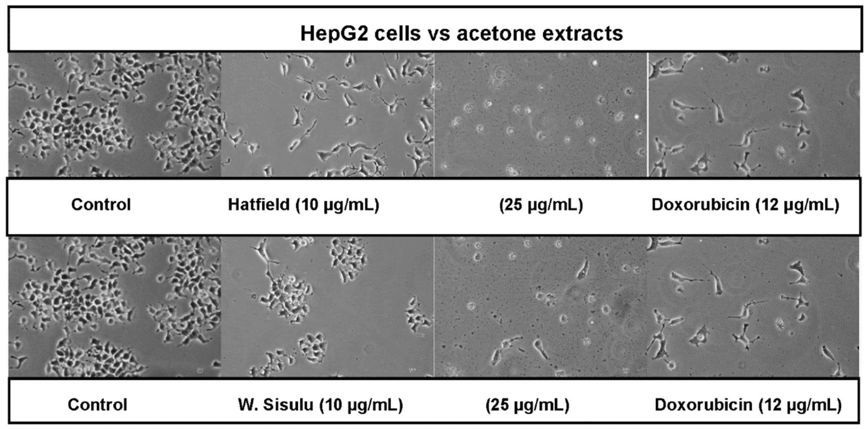 Applsci 12 11004 g001