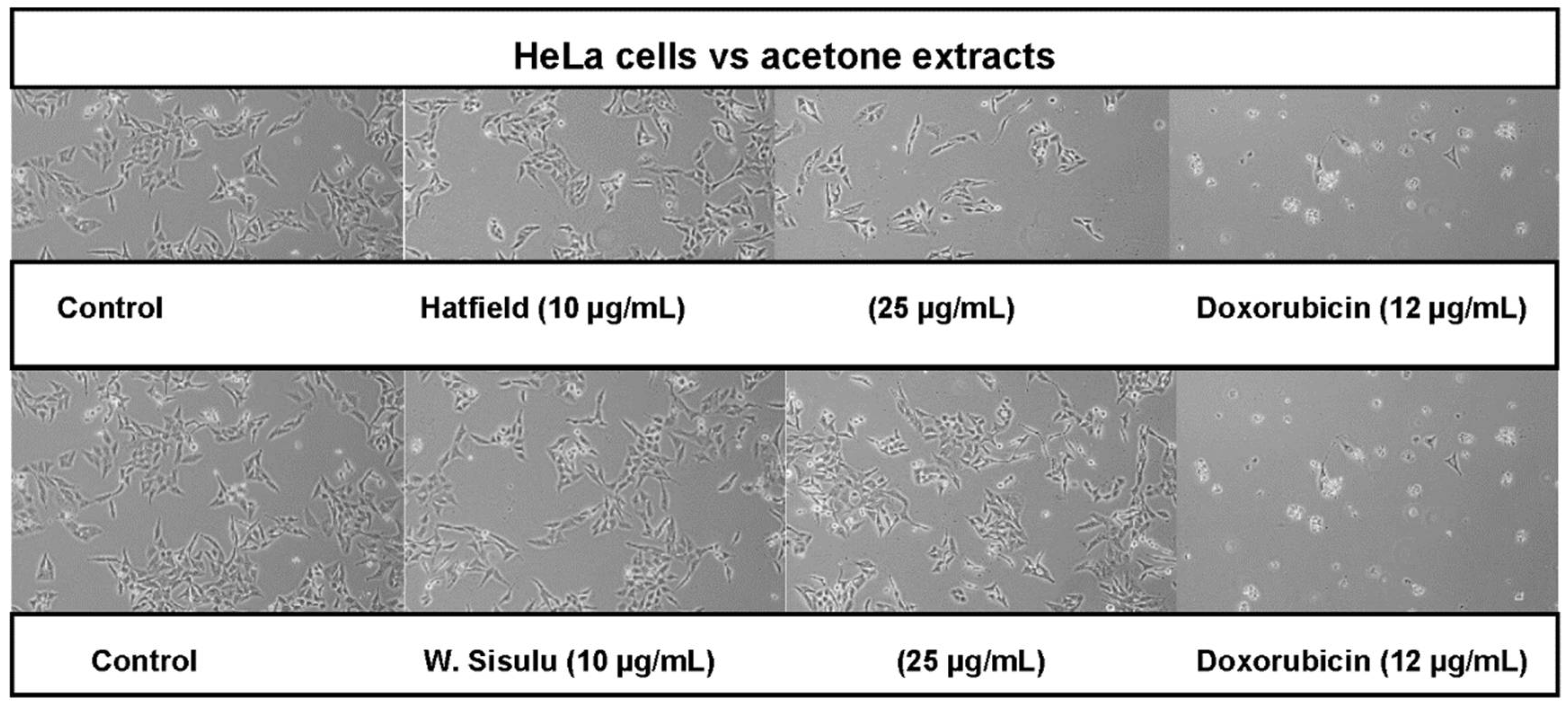 Applsci 12 11004 g002