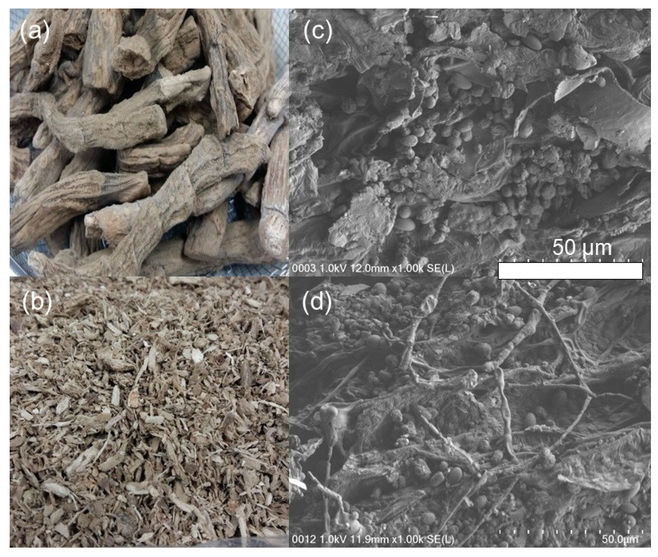 Applsci 12 11007 g007 Applsci 12 11007 g007