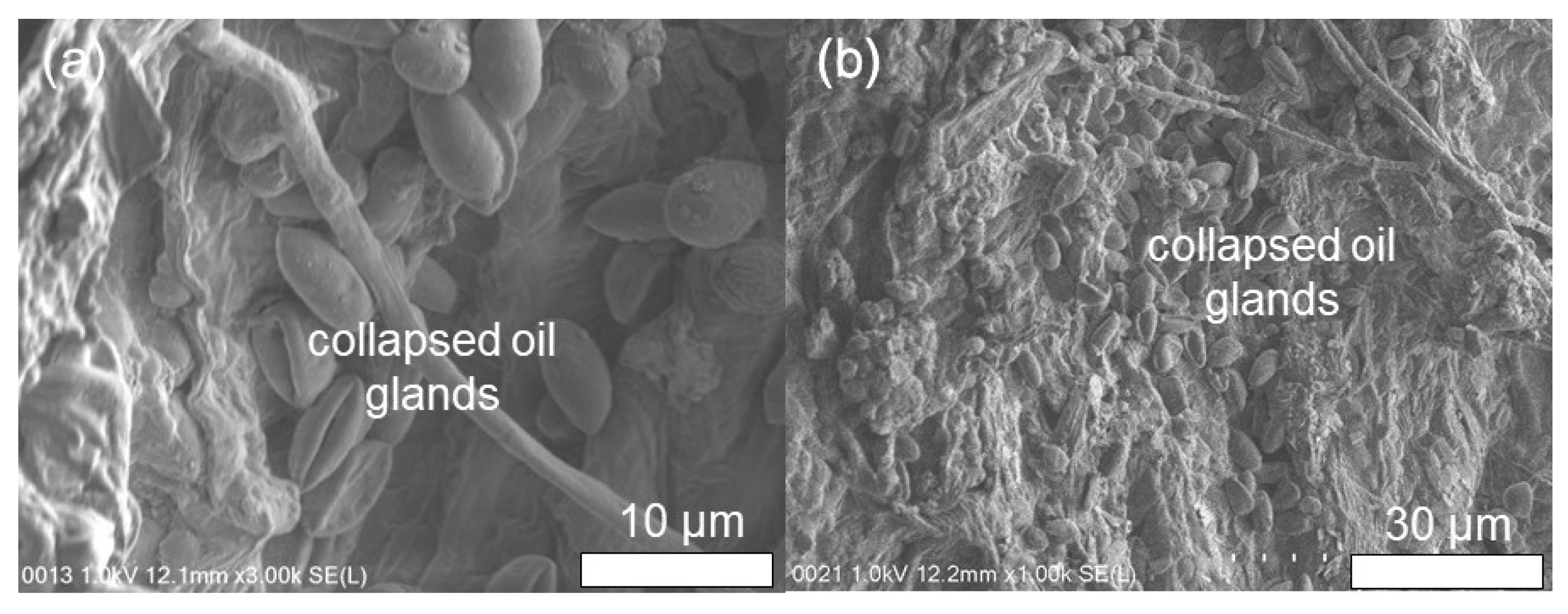 Applsci 12 11007 g008 Applsci 12 11007 g008