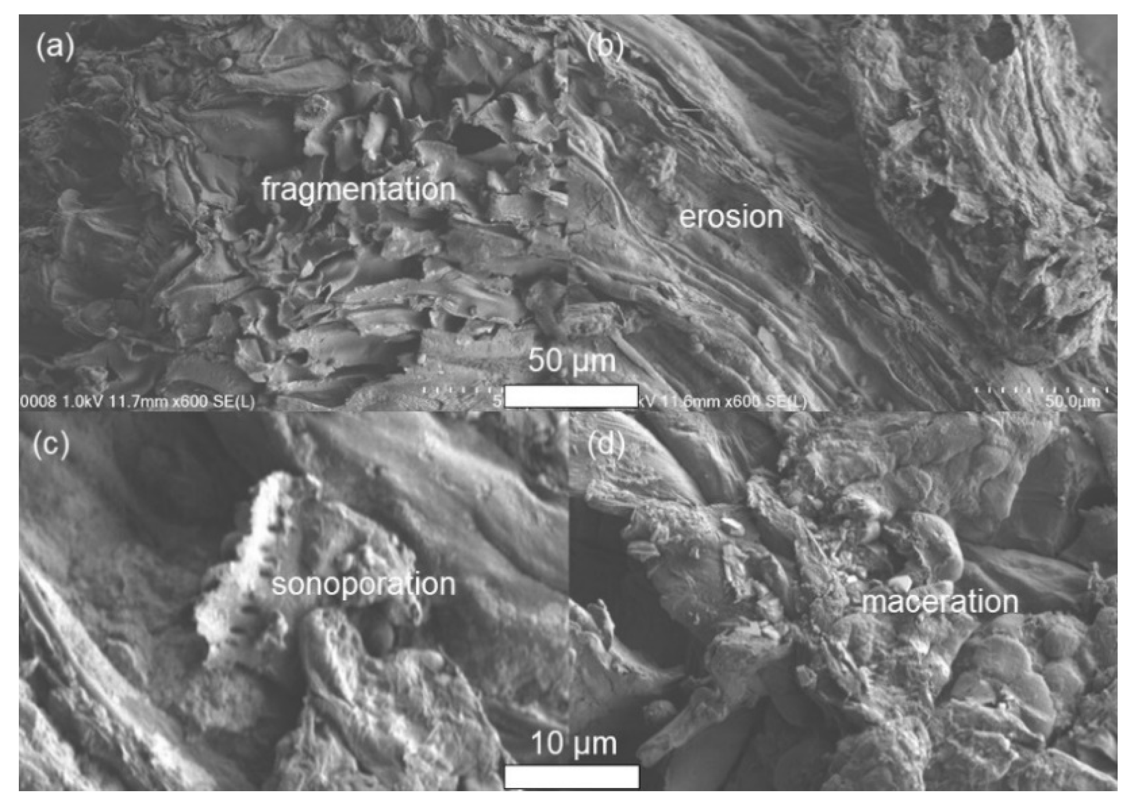 Applsci 12 11007 g009 Applsci 12 11007 g009