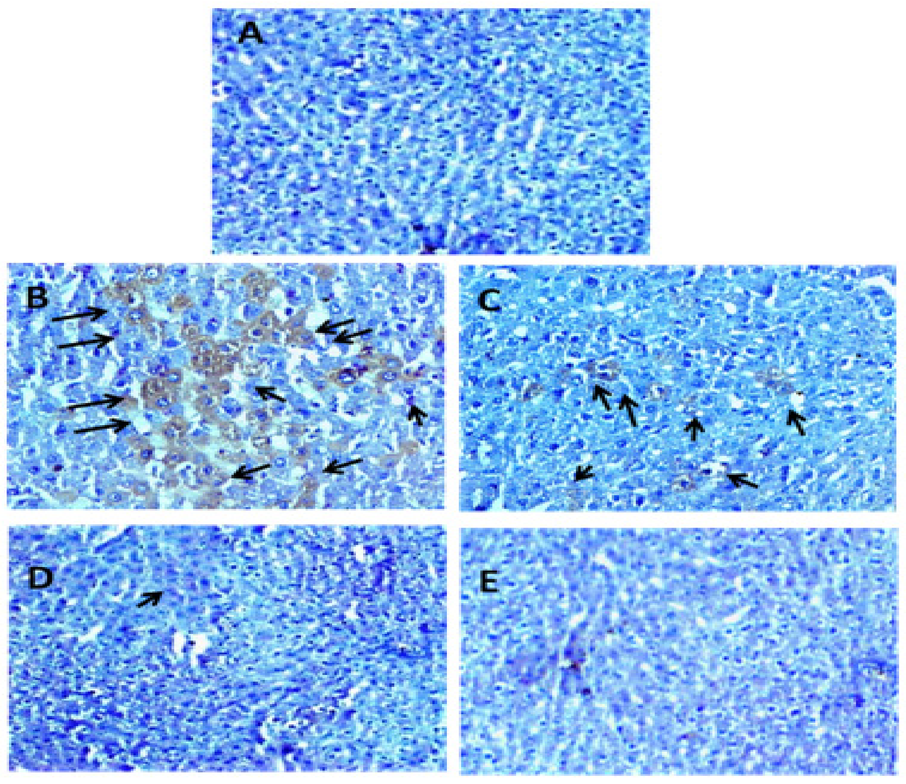 Applsci 12 11010 g006