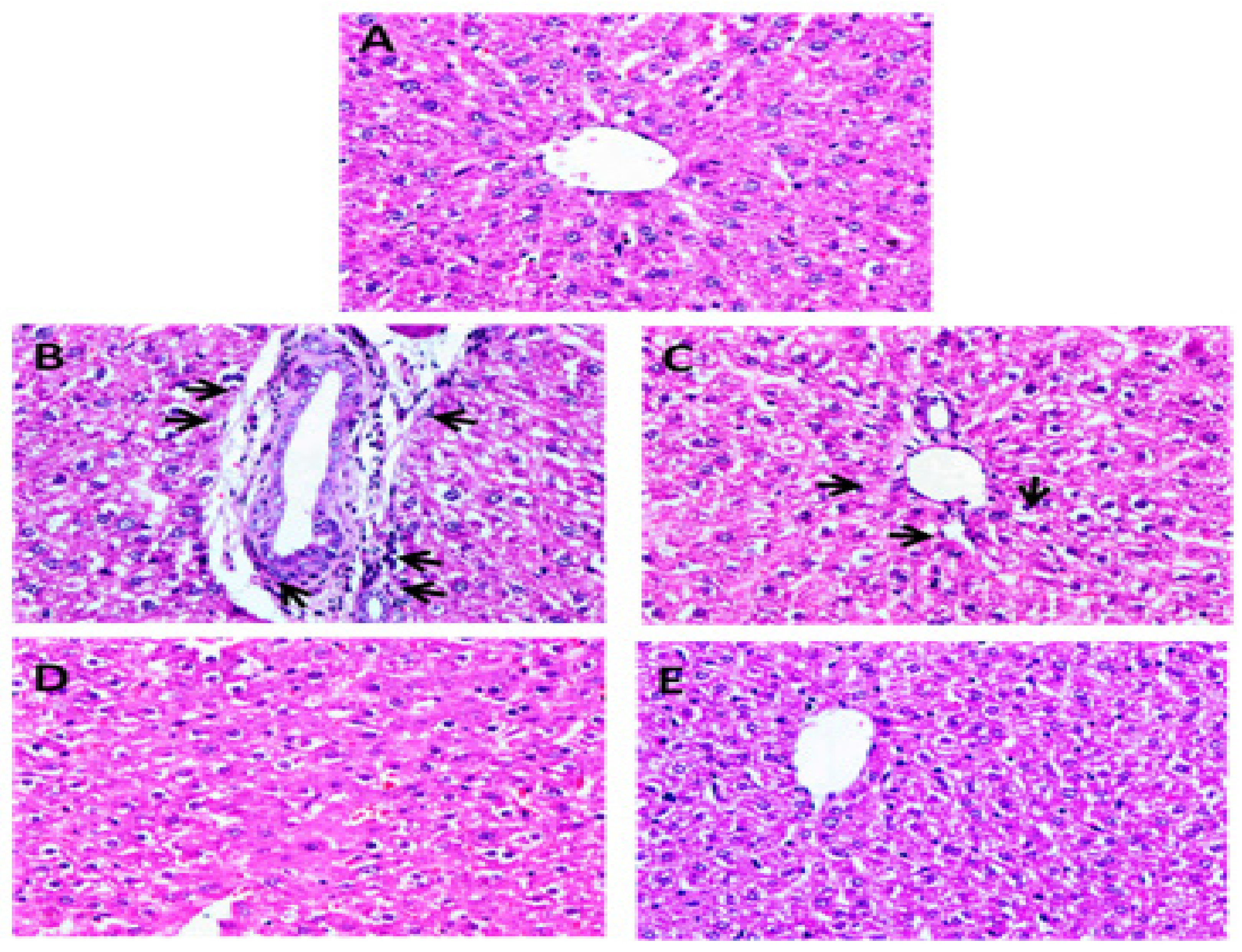 Applsci 12 11010 g007