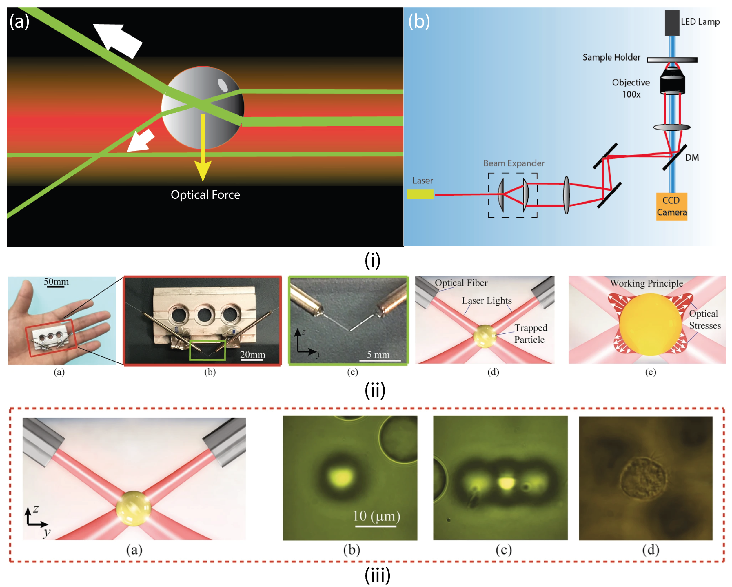 Applsci 12 11013 g005 Applsci 12 11013 g005