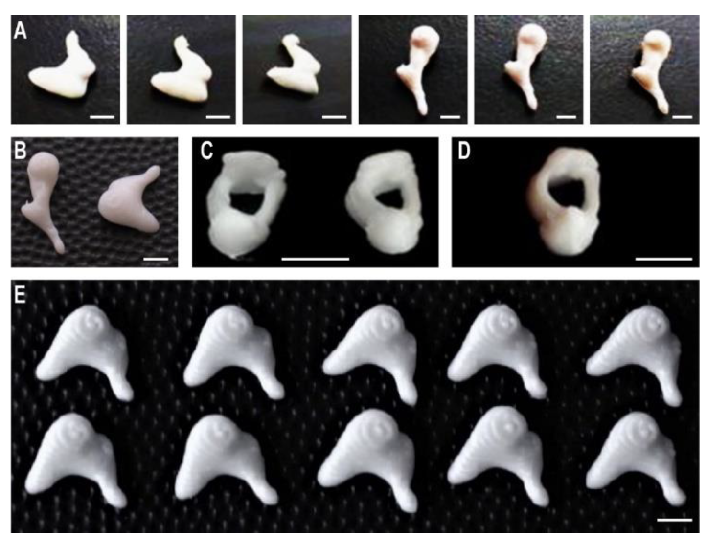 Applsci 12 11015 g002