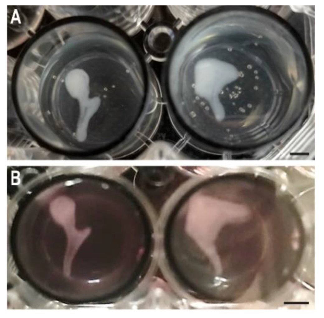 Applsci 12 11015 g007