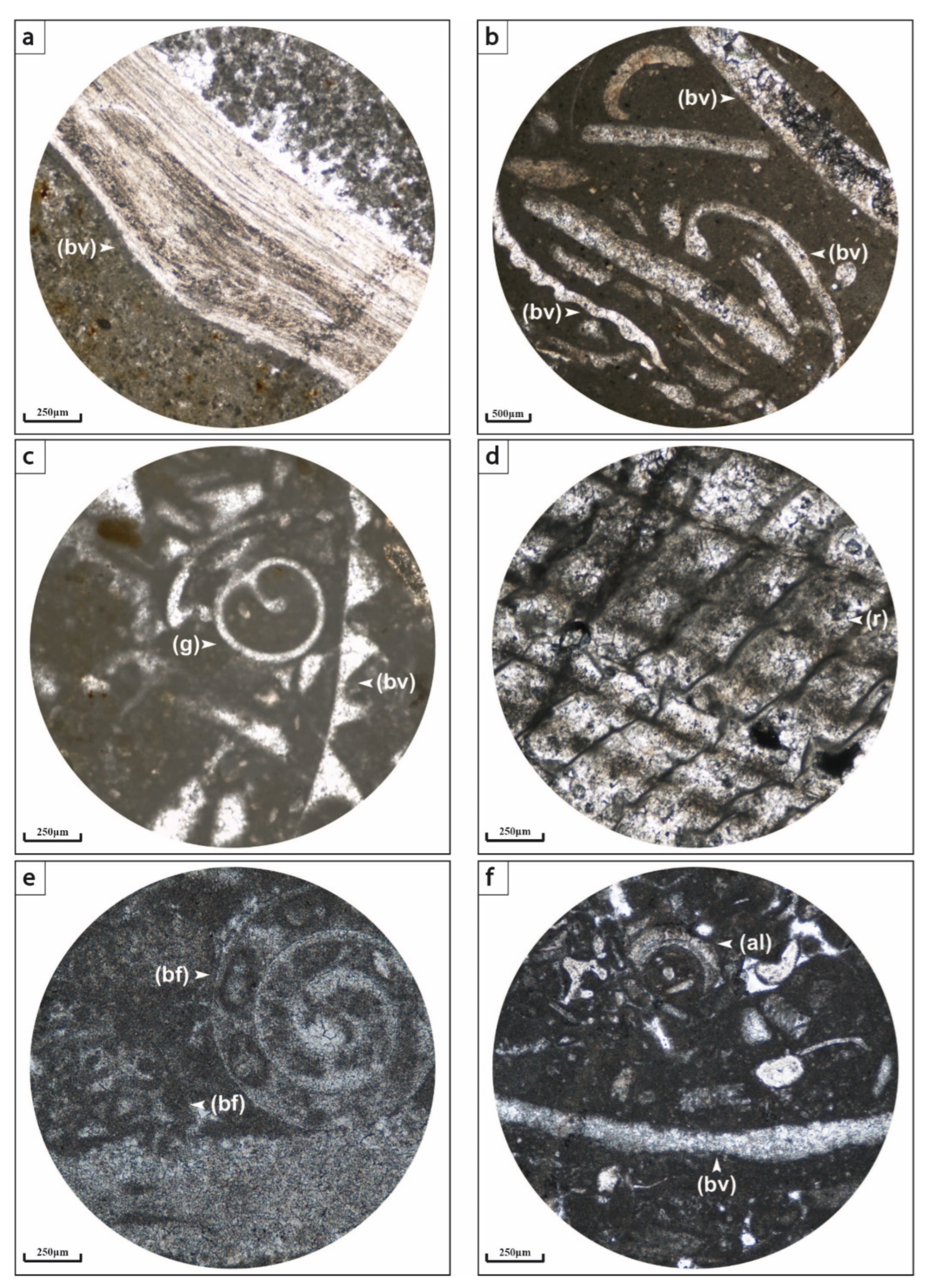 Applsci 12 11048 g004