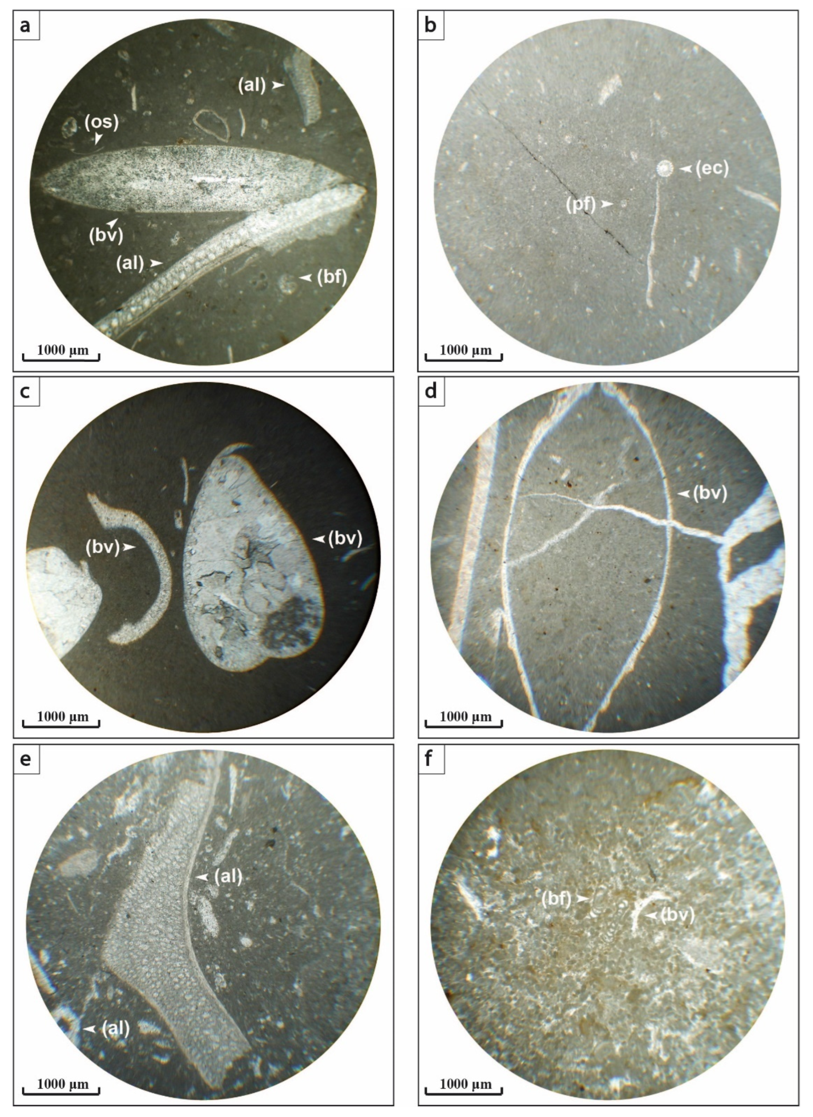 Applsci 12 11048 g006