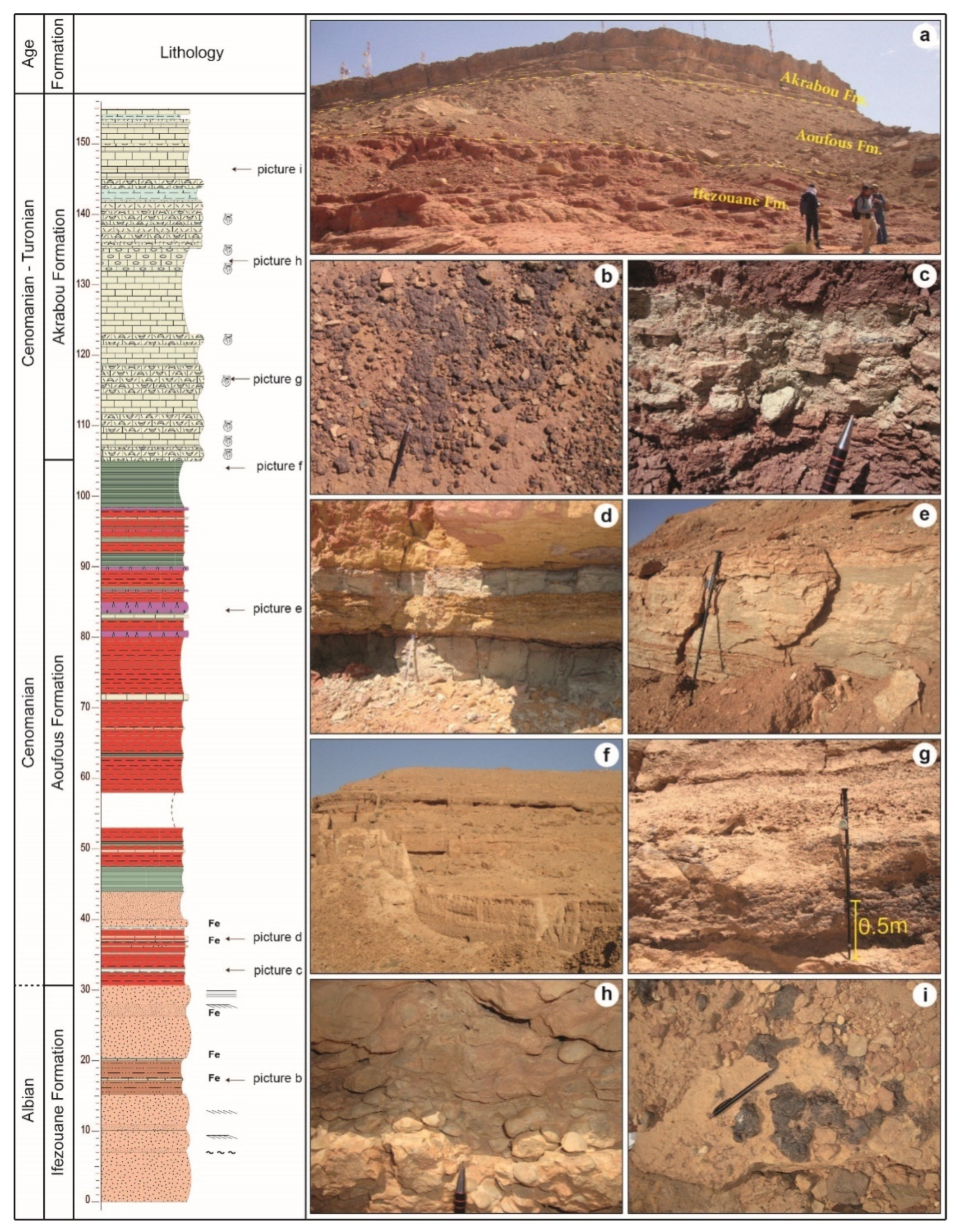 Applsci 12 11048 g007