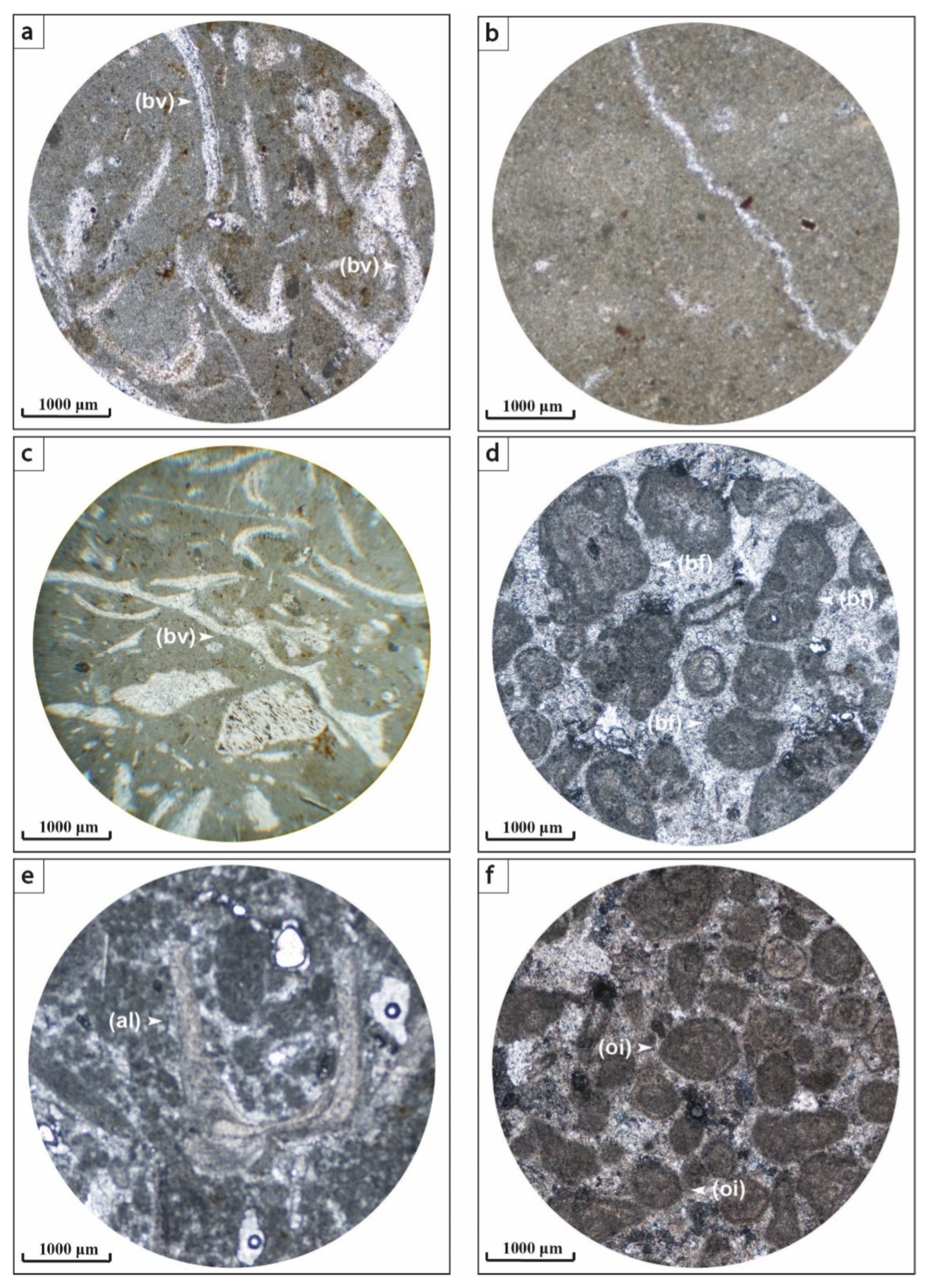 Applsci 12 11048 g008