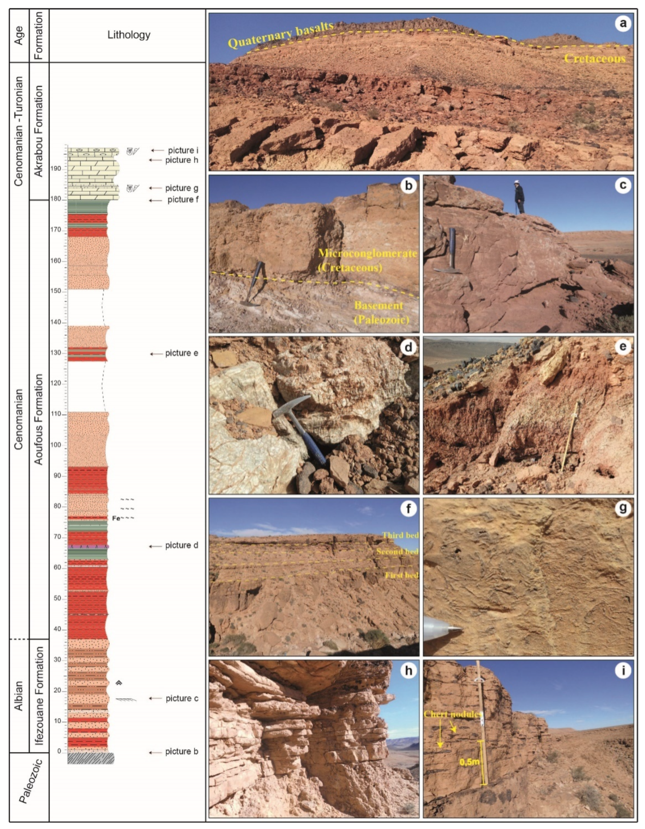 Applsci 12 11048 g009