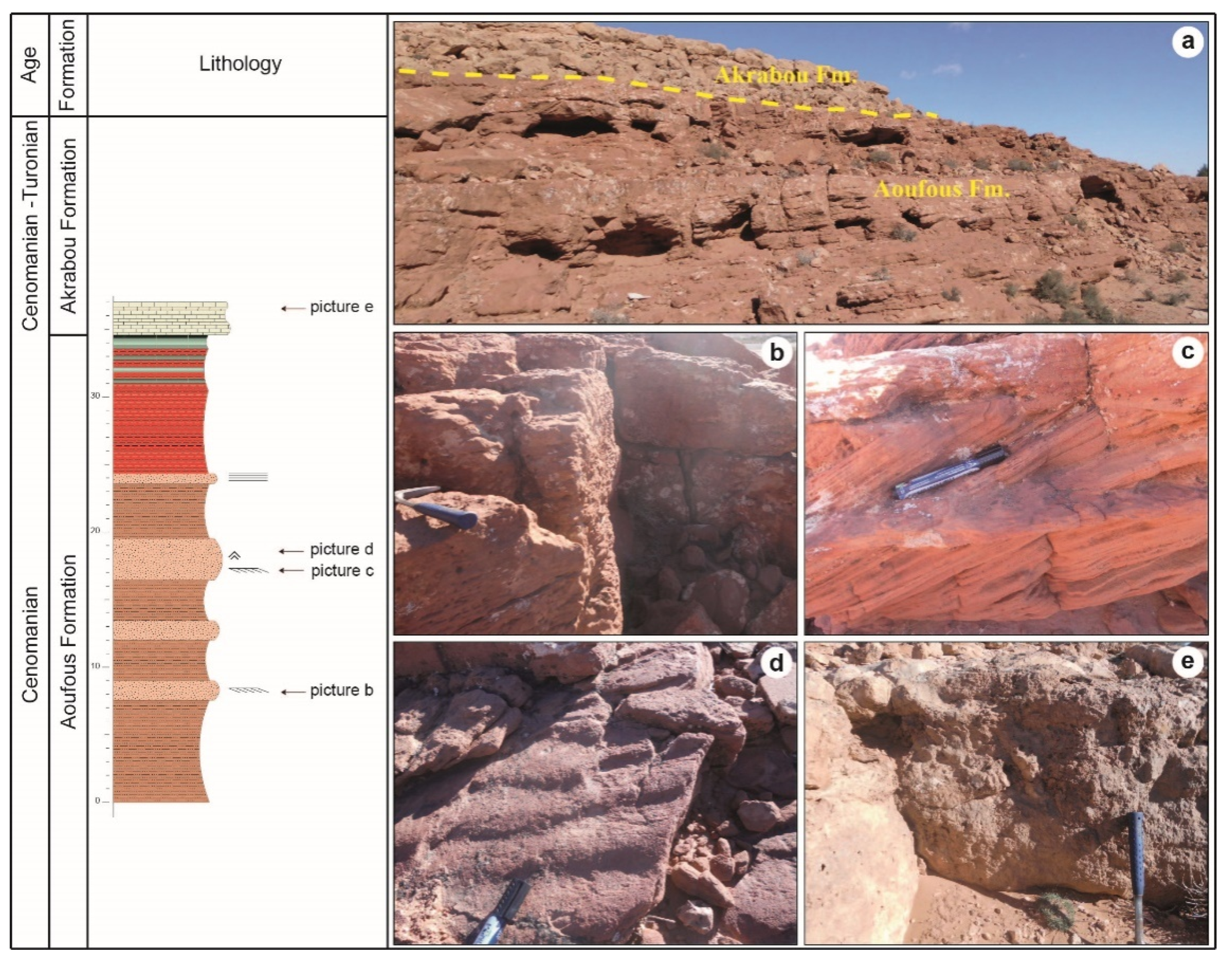 Applsci 12 11048 g011