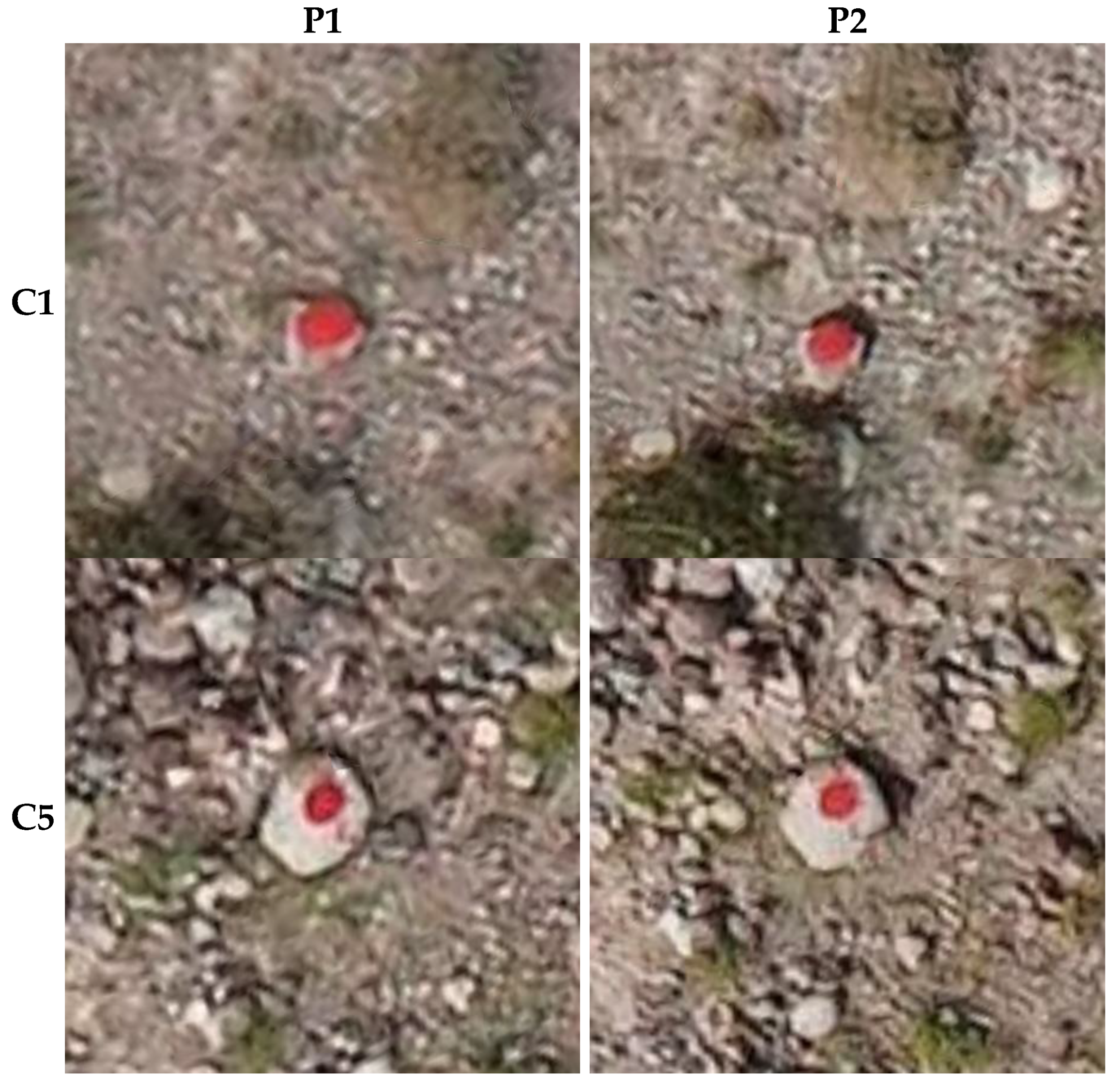 Applsci 12 11070 g012 Applsci 12 11070 g012