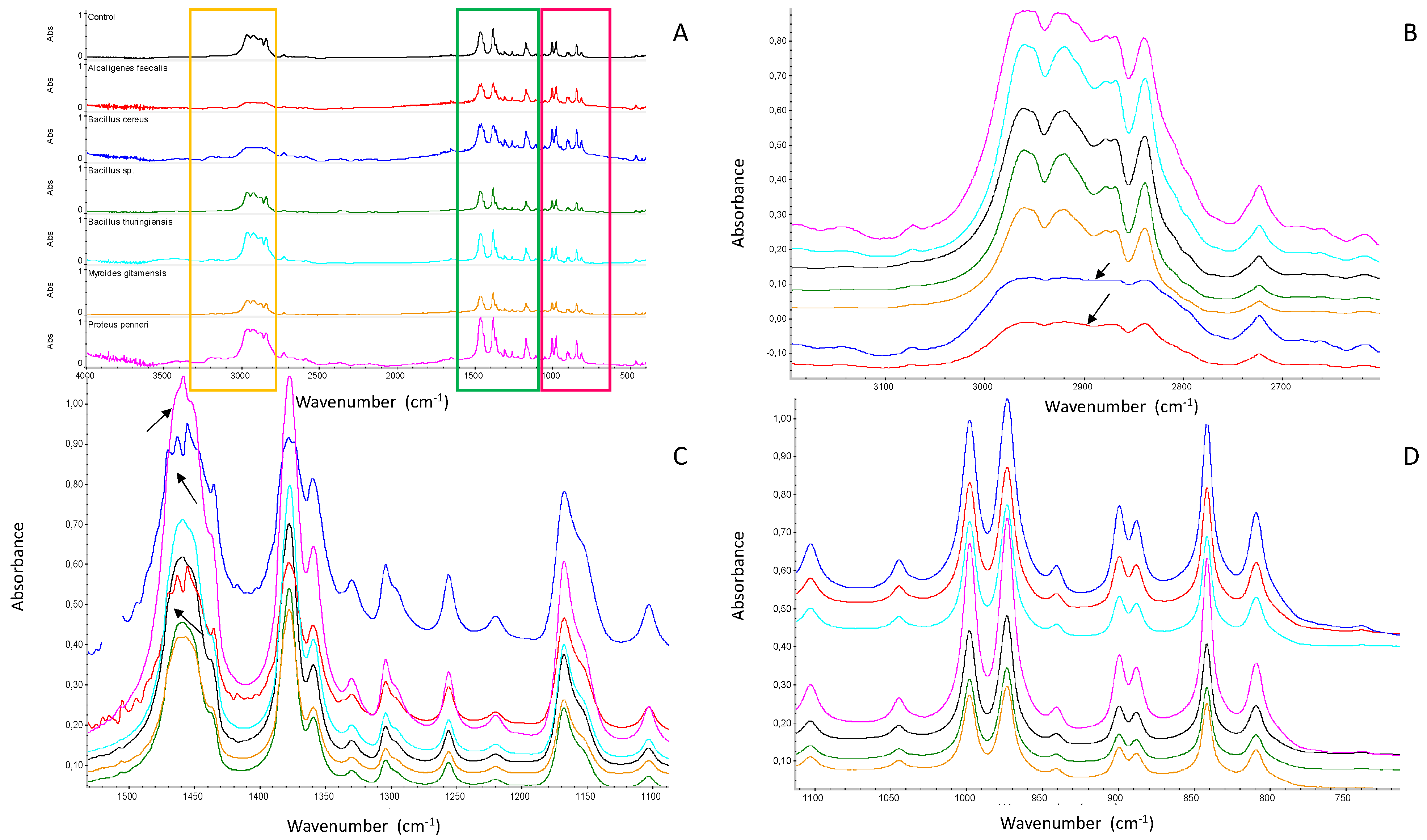 Applsci 12 11093 g001