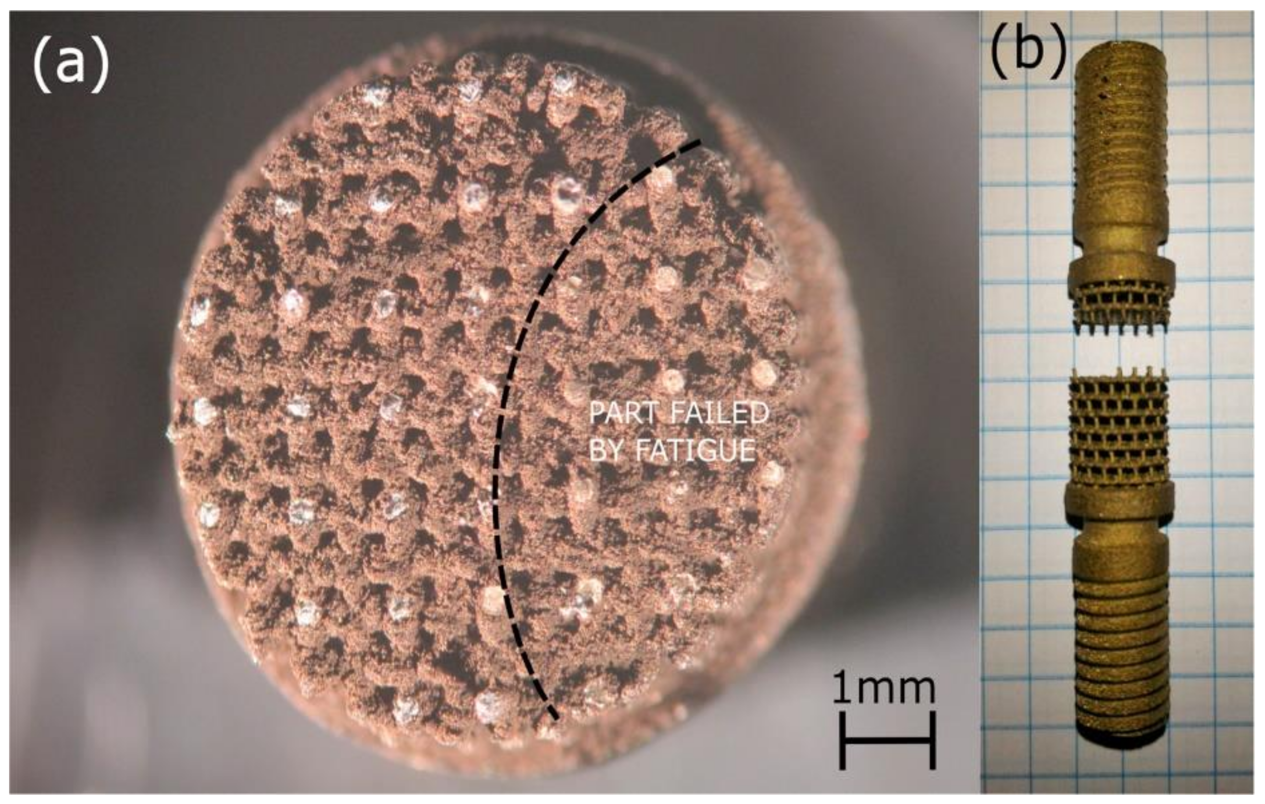 Applsci 12 11132 g019