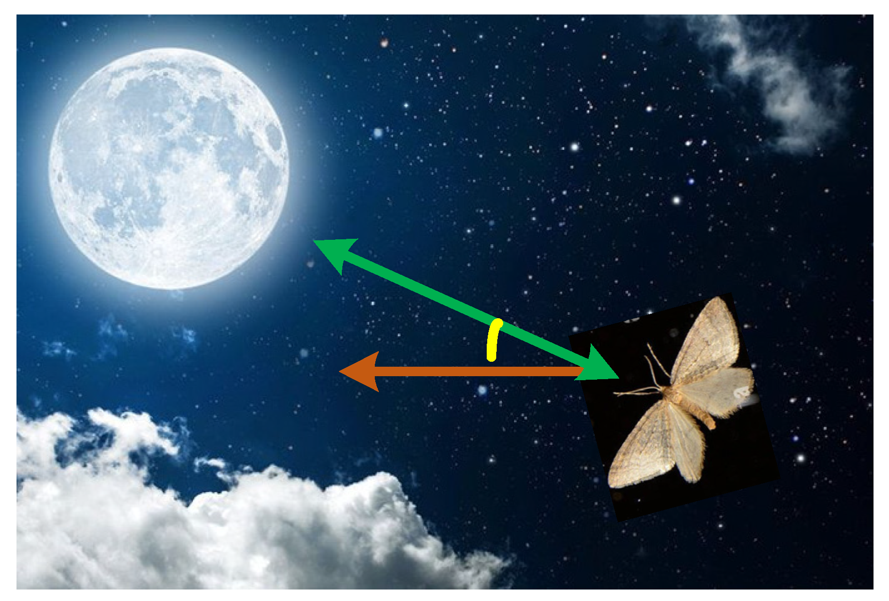 Applsci 12 11153 g010