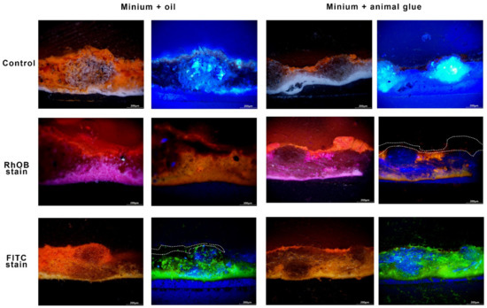 Applsci 12 11202 g0a4